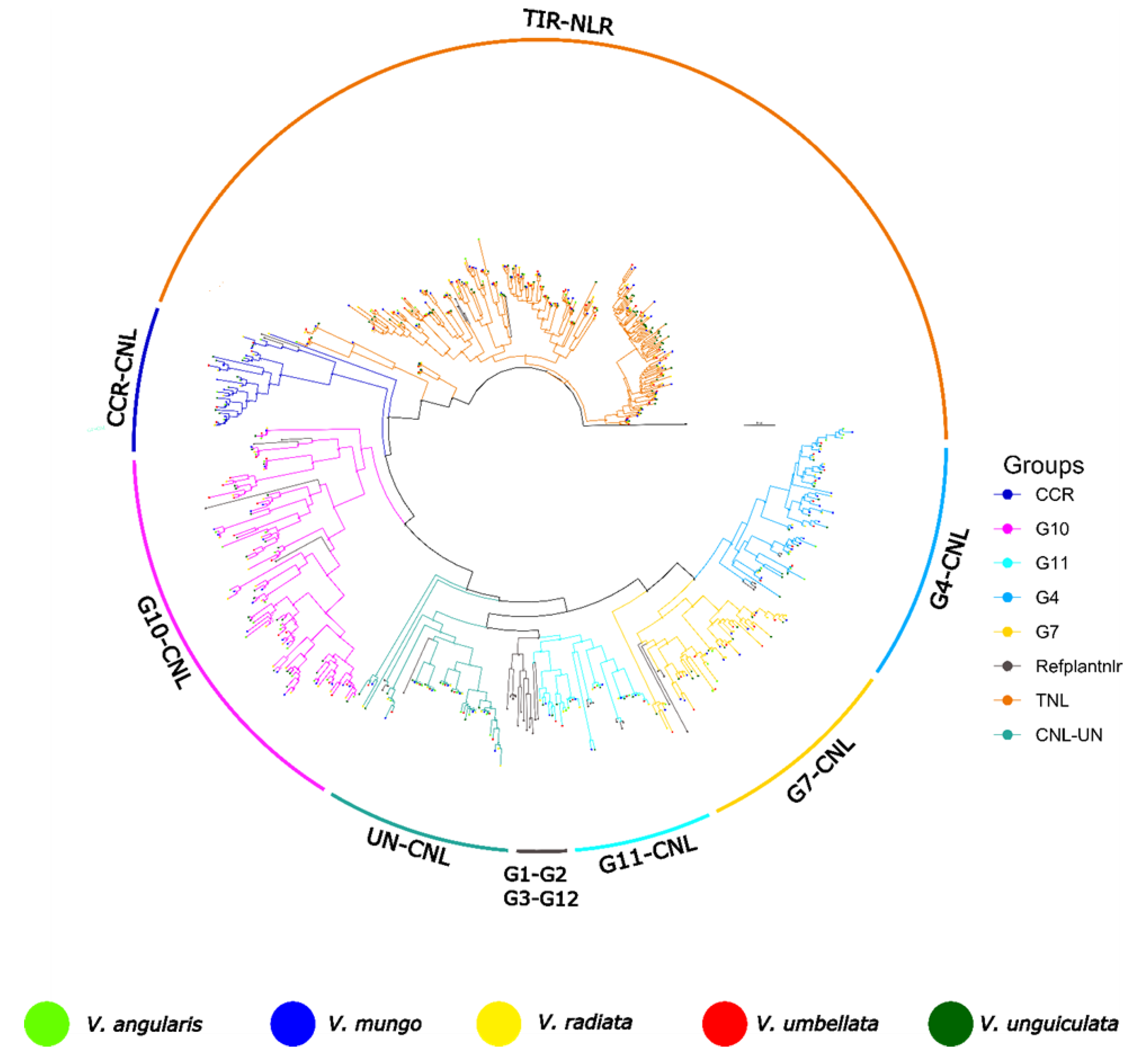 Genes 14 01129 g003 Genes 14 01129 g003