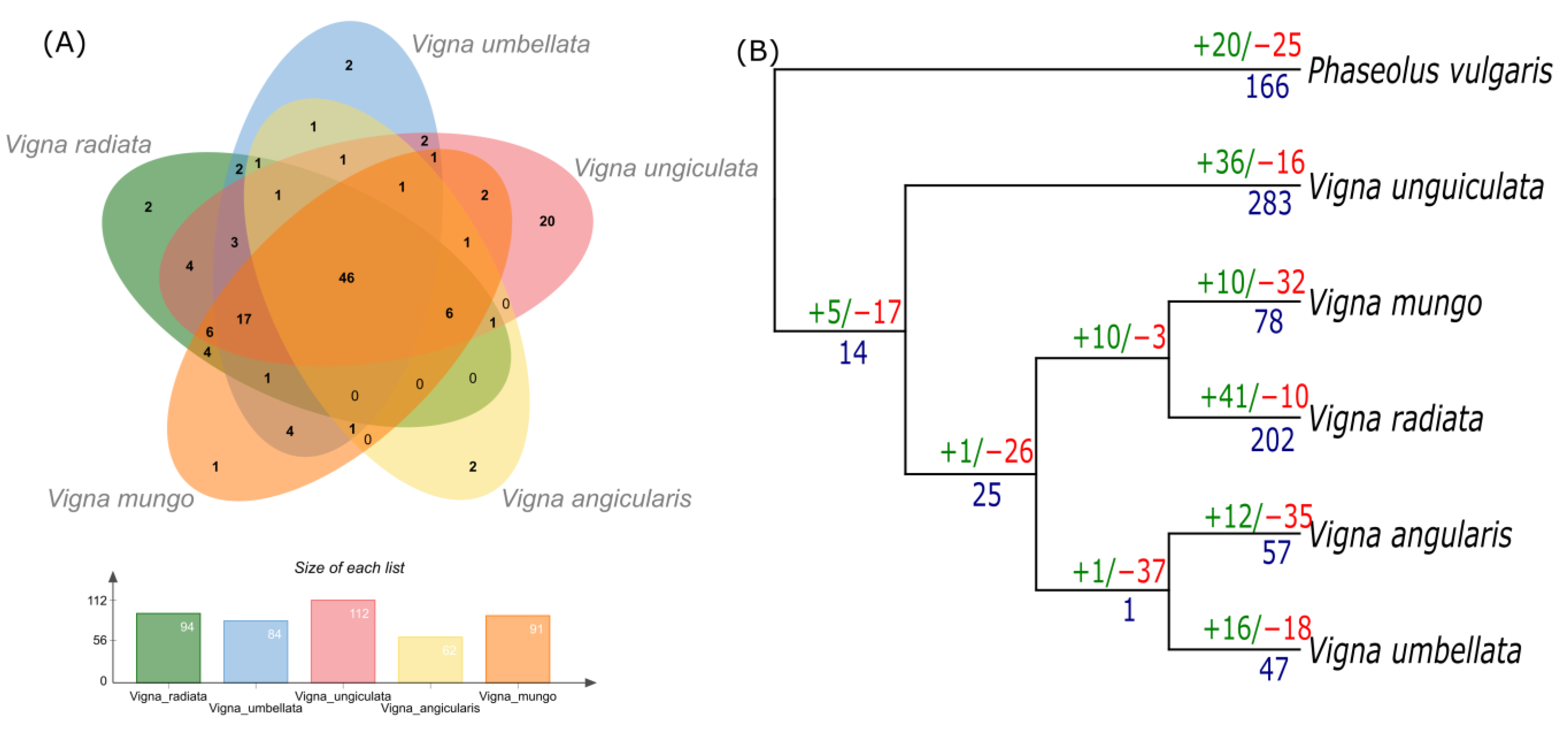 Genes 14 01129 g004 Genes 14 01129 g004