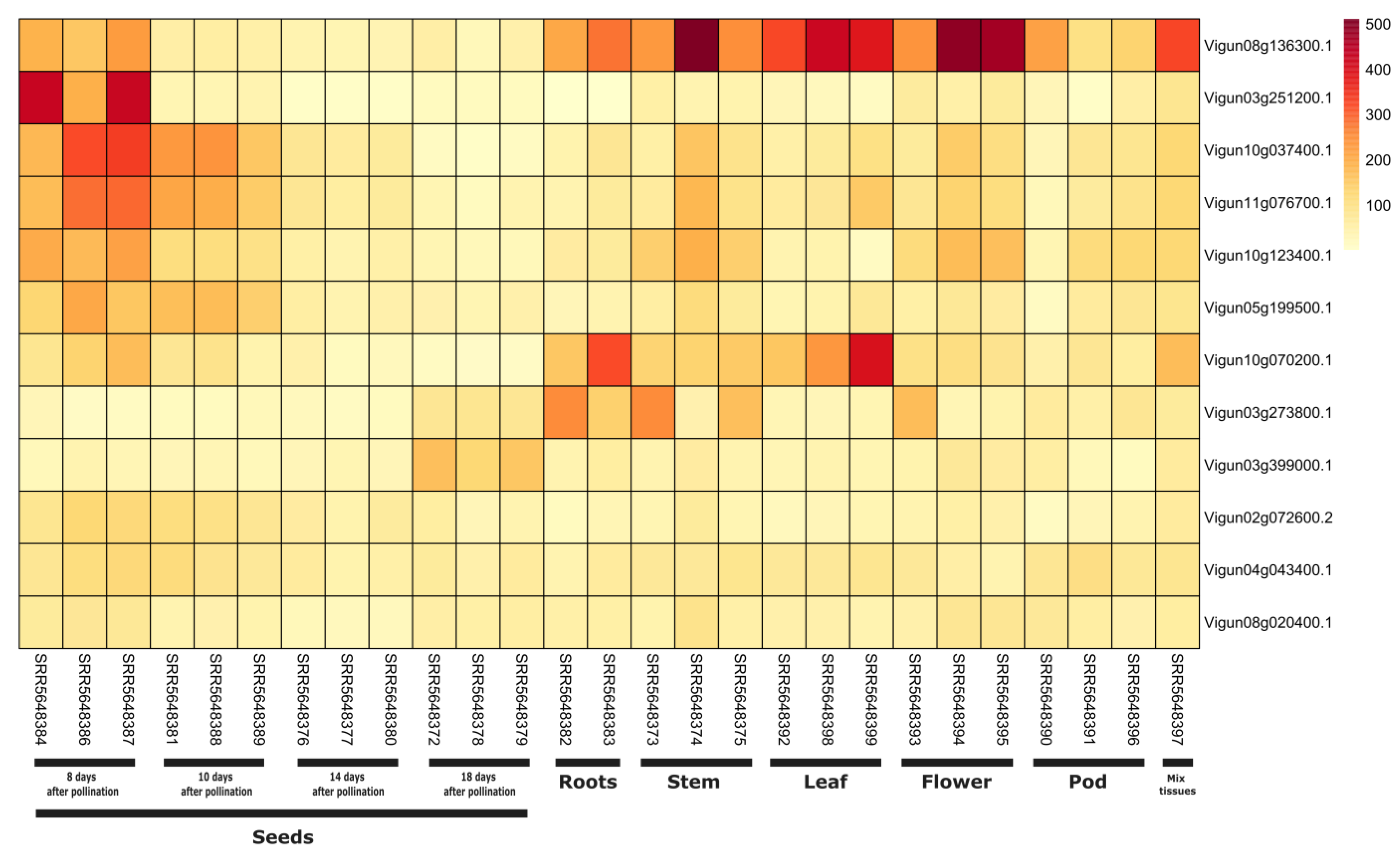 Genes 14 01129 g006 Genes 14 01129 g006