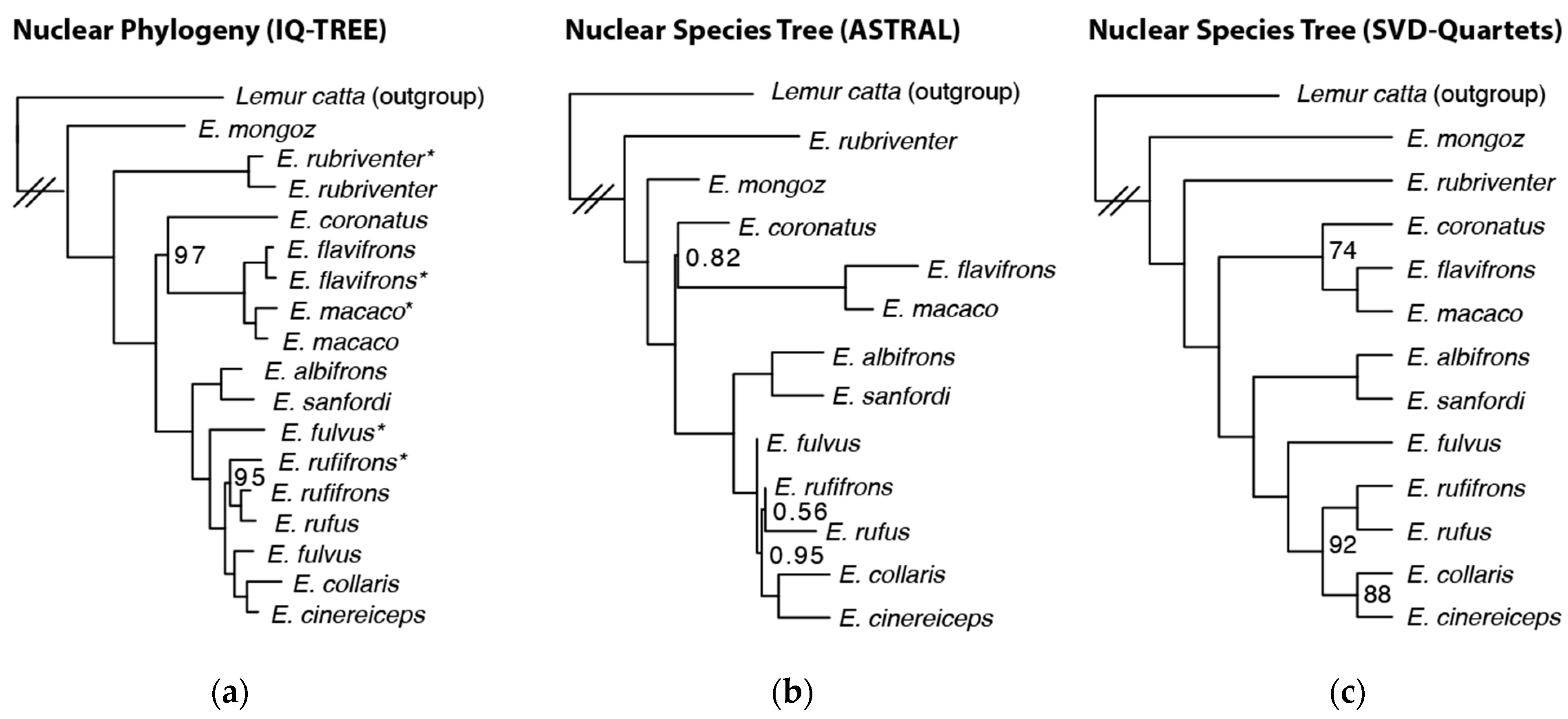 Genes 14 01130 g002 Genes 14 01130 g002