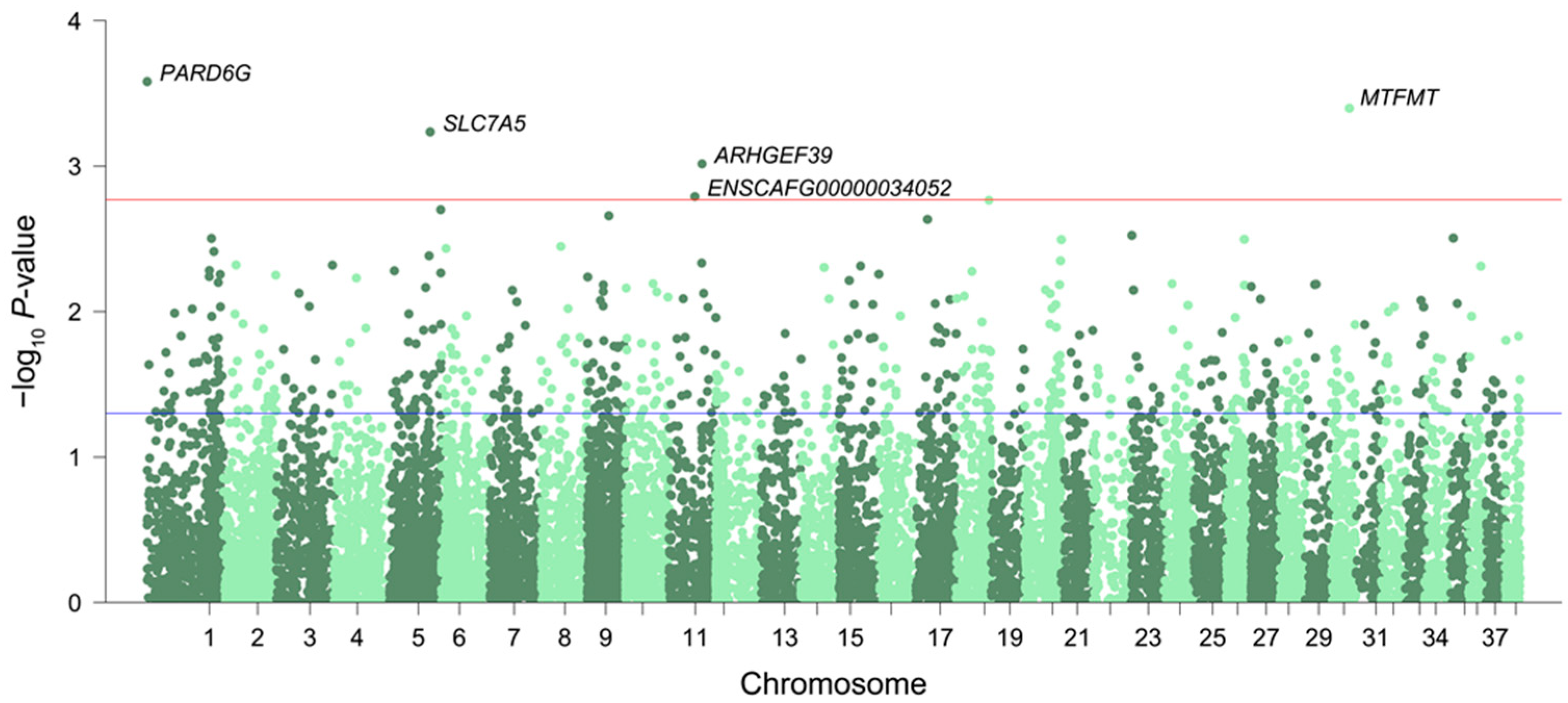 Genes 14 01131 g001 Genes 14 01131 g001