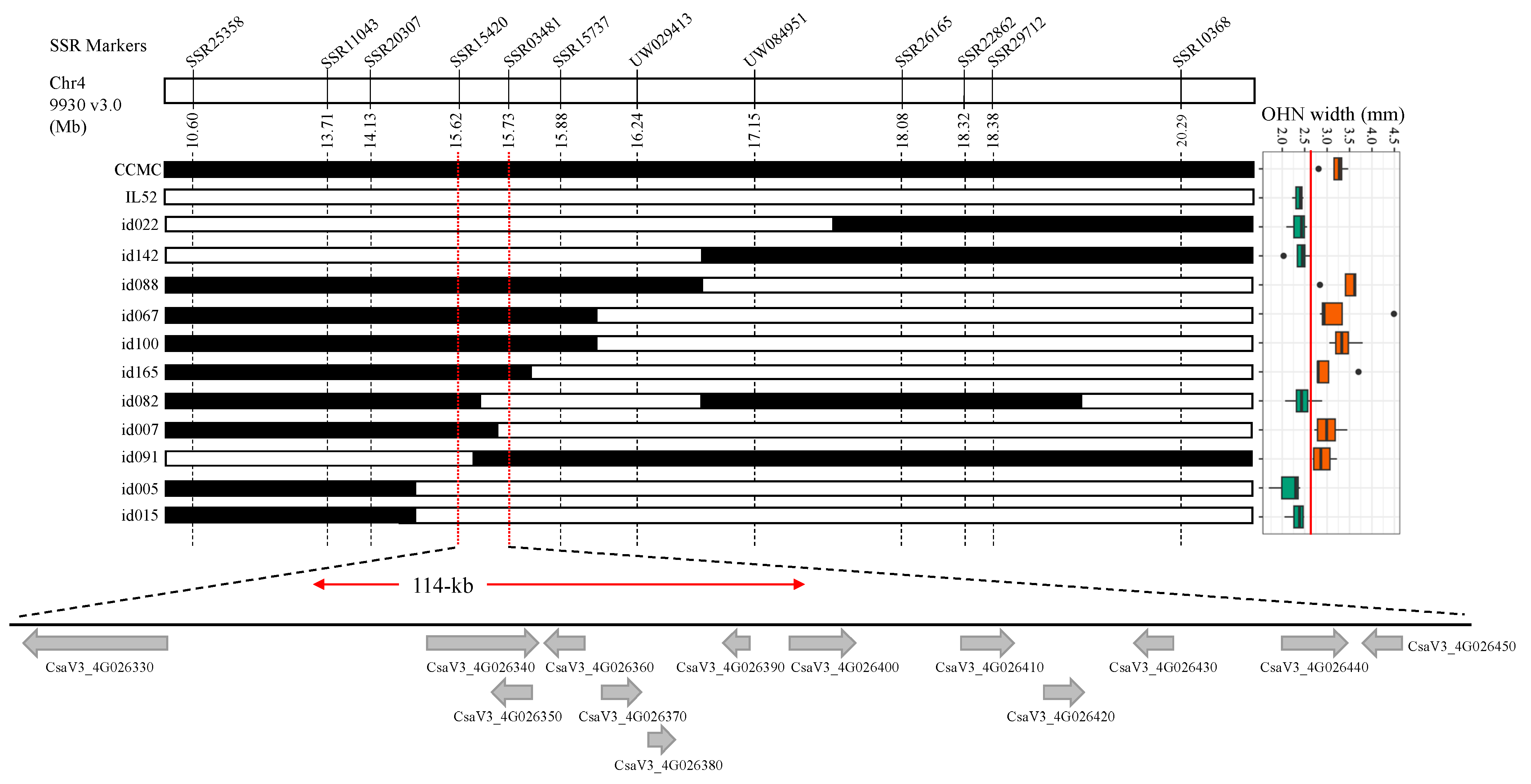 Genes 14 01133 g004 Genes 14 01133 g004