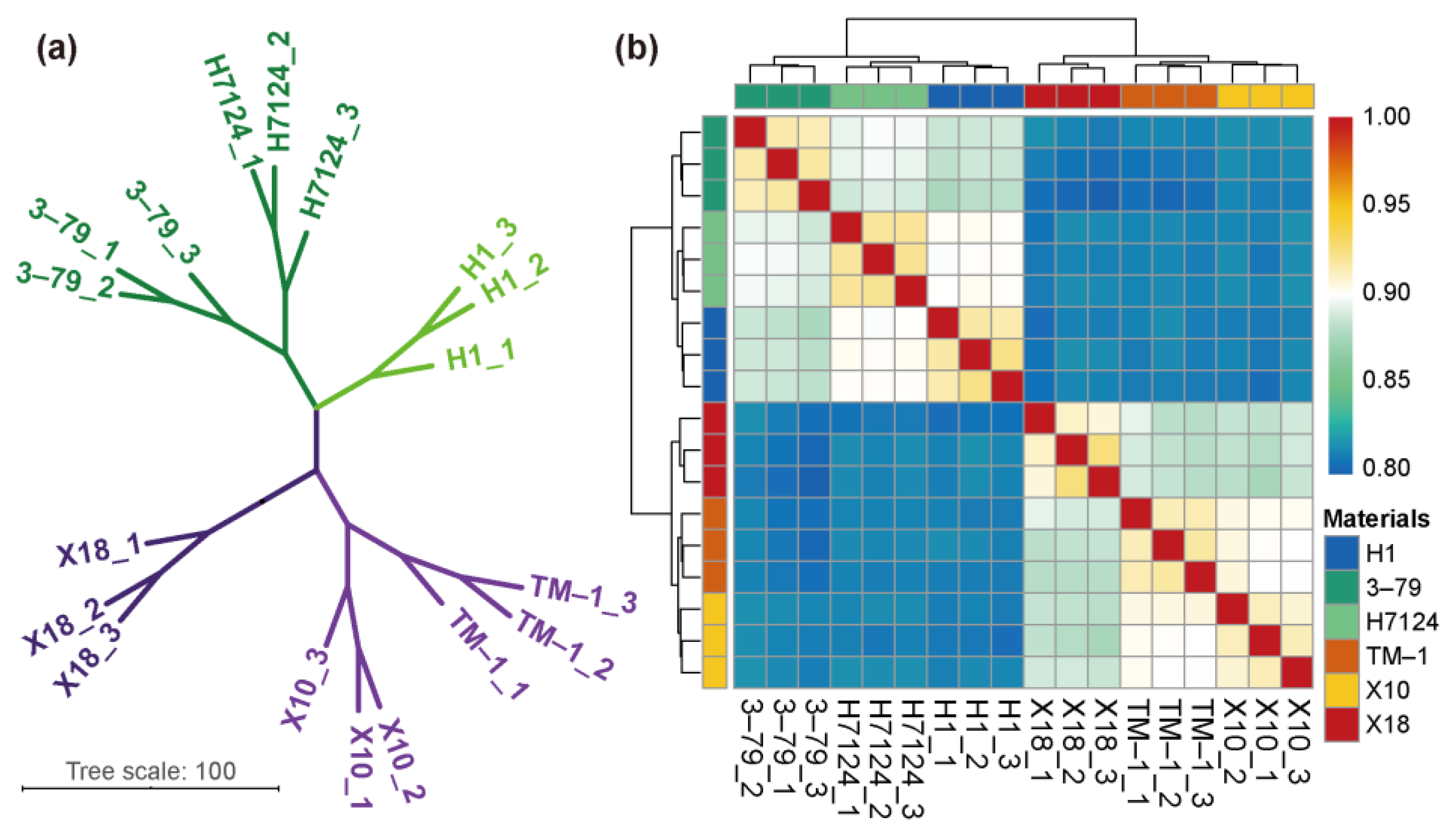 Genes 14 01144 g001 Genes 14 01144 g001