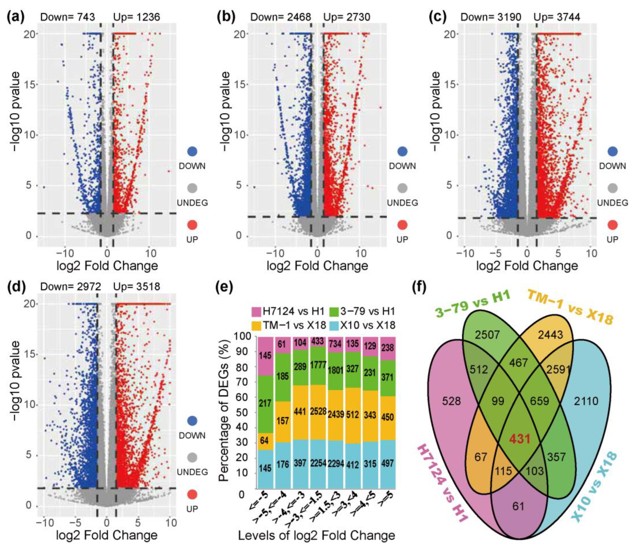 Genes 14 01144 g002 Genes 14 01144 g002