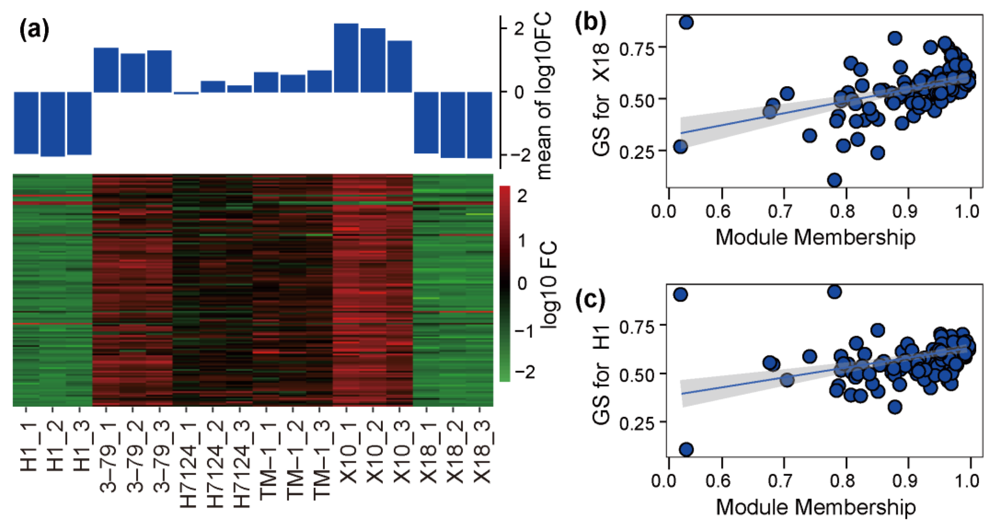 Genes 14 01144 g004 Genes 14 01144 g004
