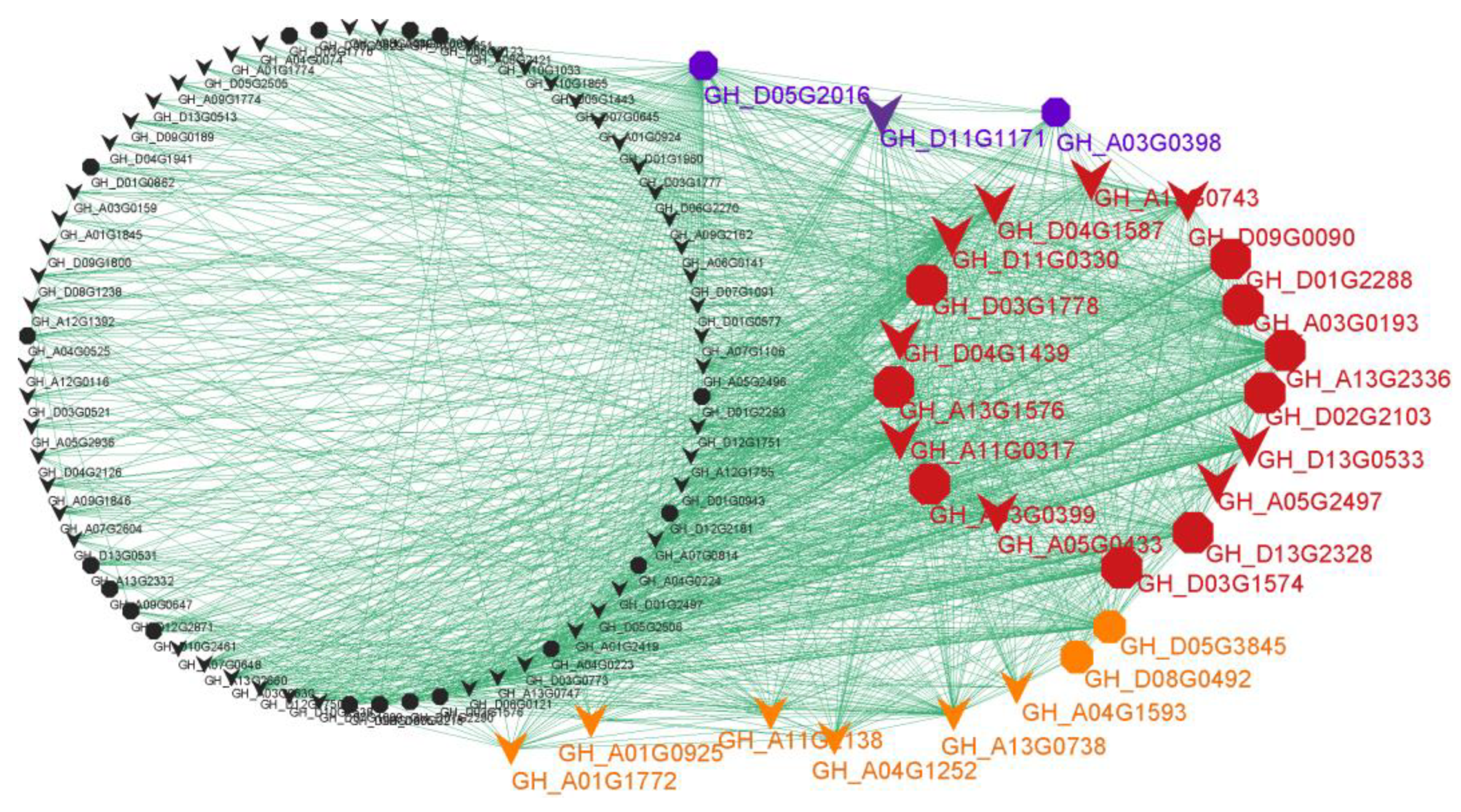 Genes 14 01144 g005 Genes 14 01144 g005