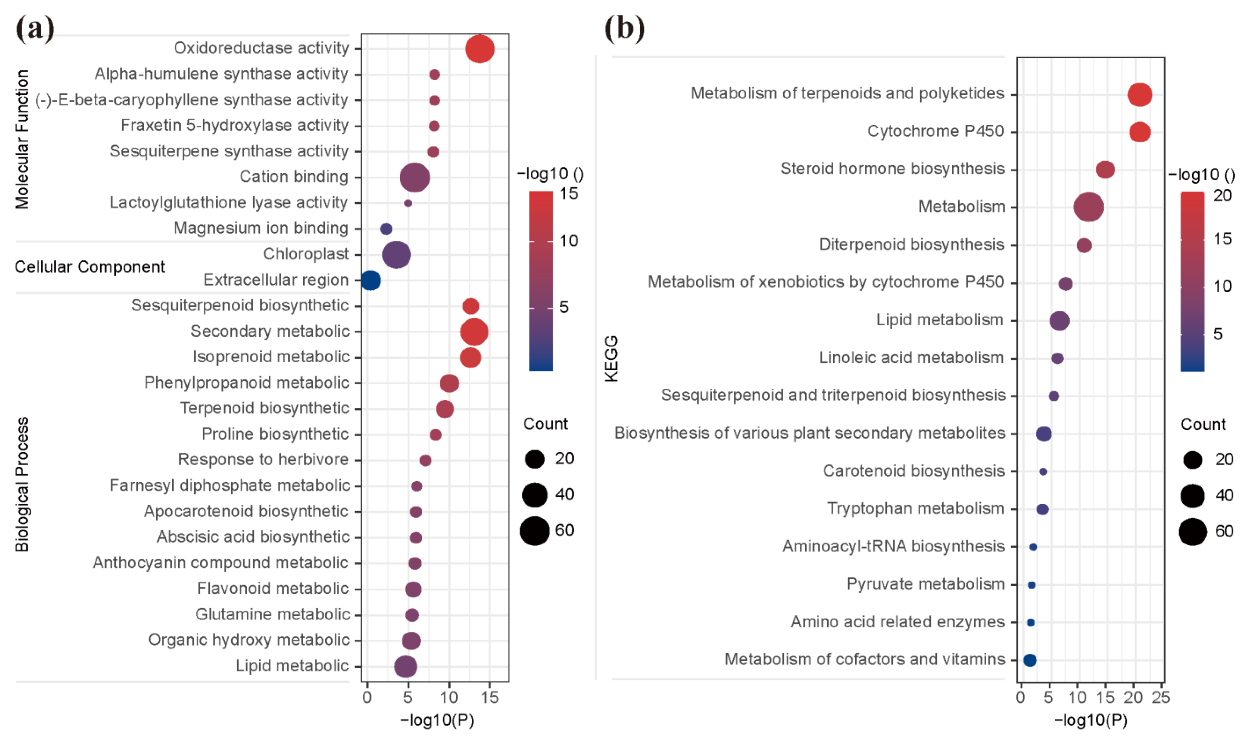 Genes 14 01144 g006 Genes 14 01144 g006