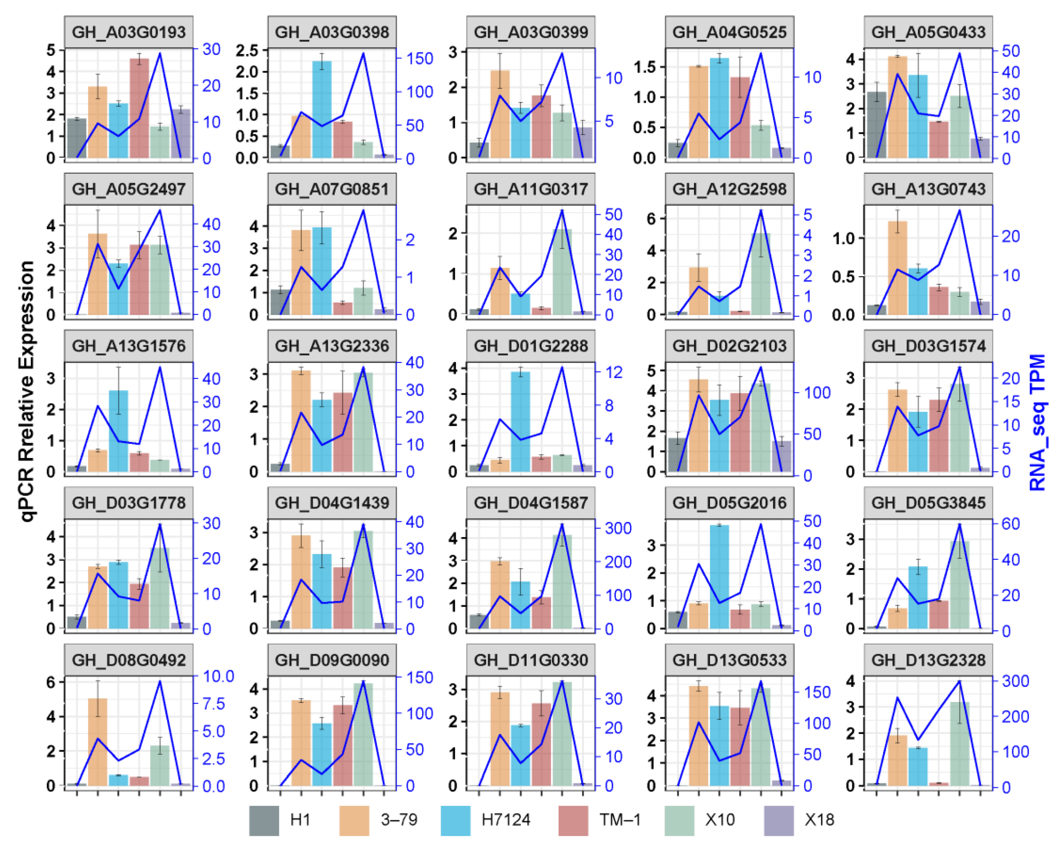 Genes 14 01144 g007 Genes 14 01144 g007