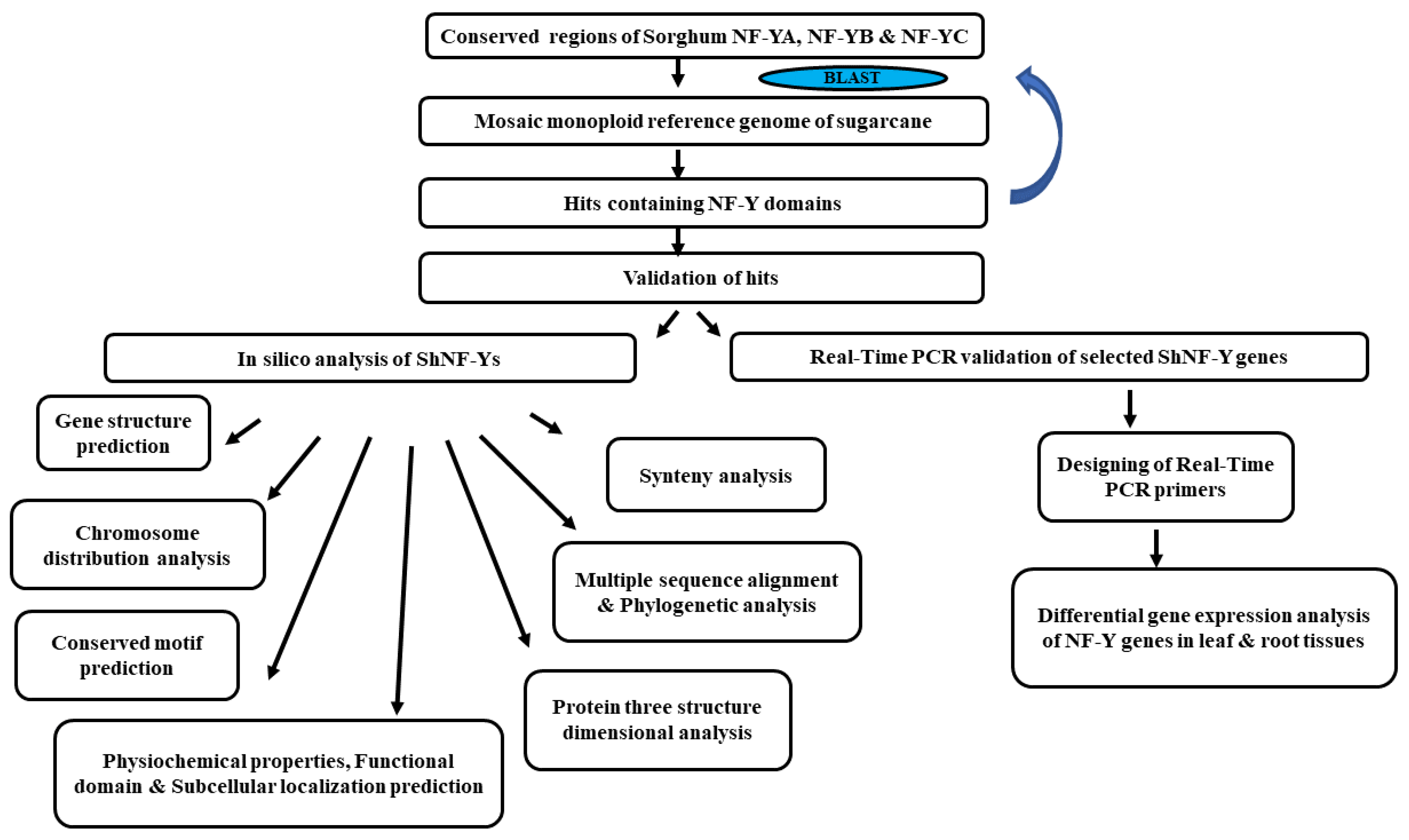 Genes 14 01147 g001 Genes 14 01147 g001