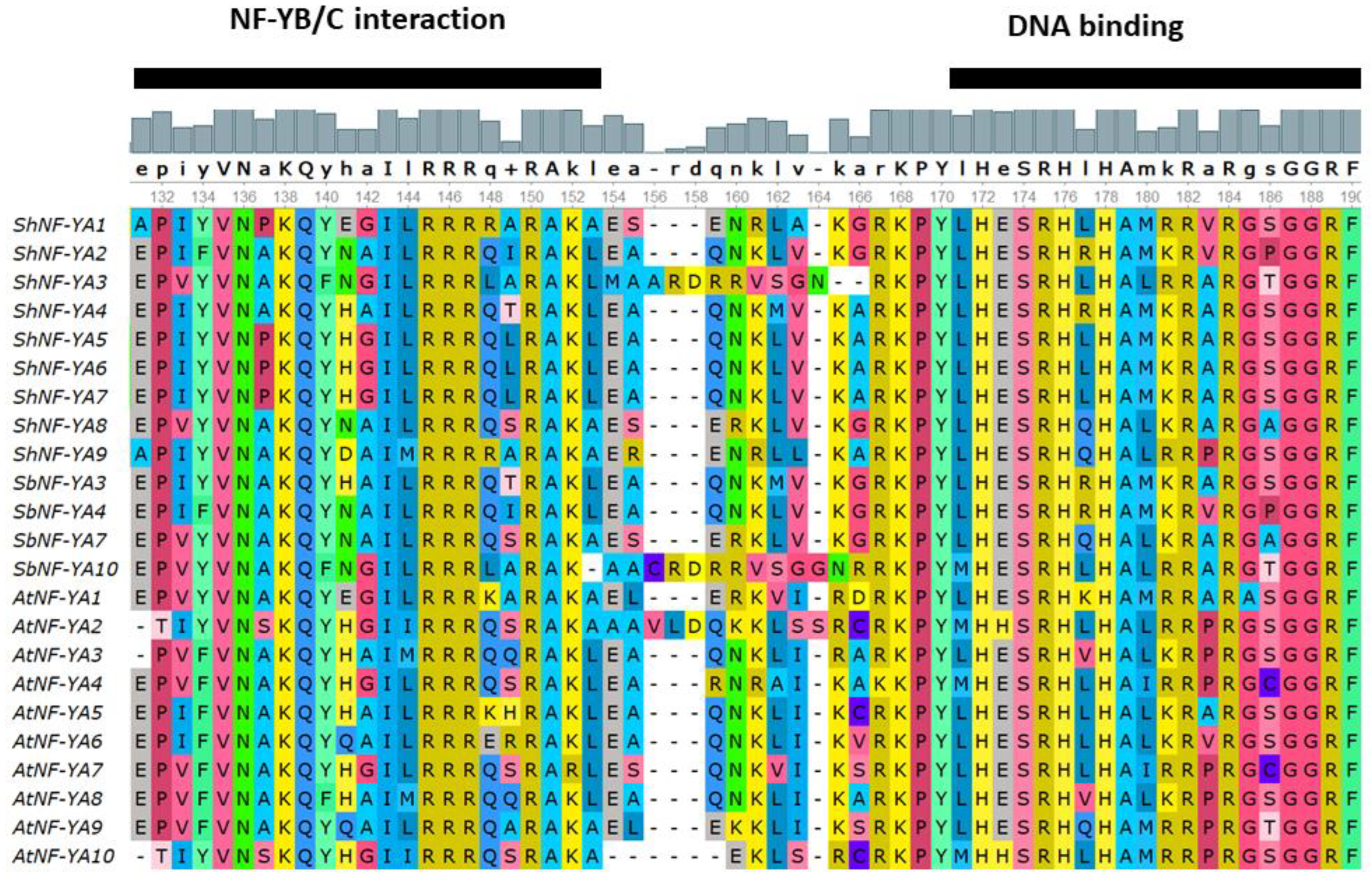 Genes 14 01147 g002 Genes 14 01147 g002