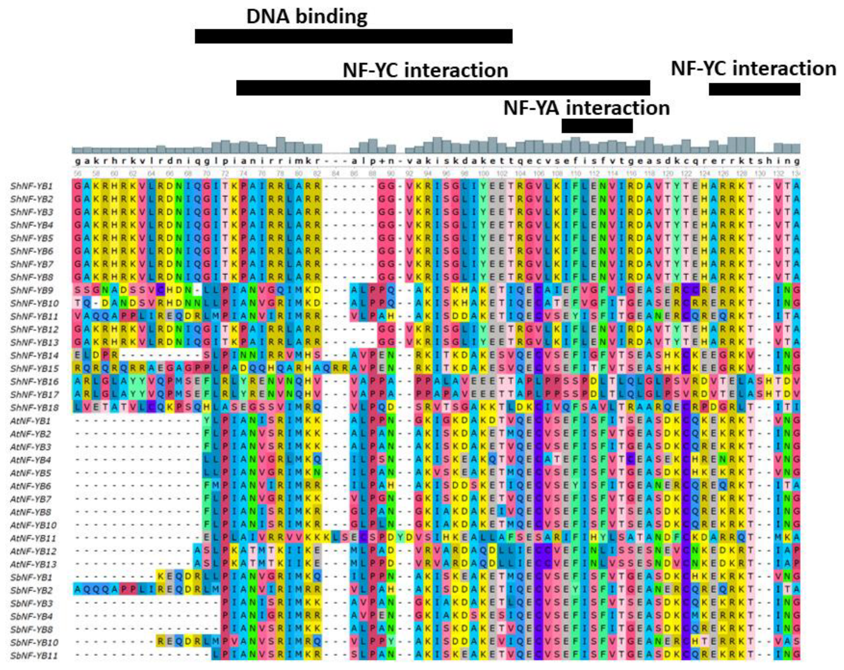 Genes 14 01147 g003 Genes 14 01147 g003