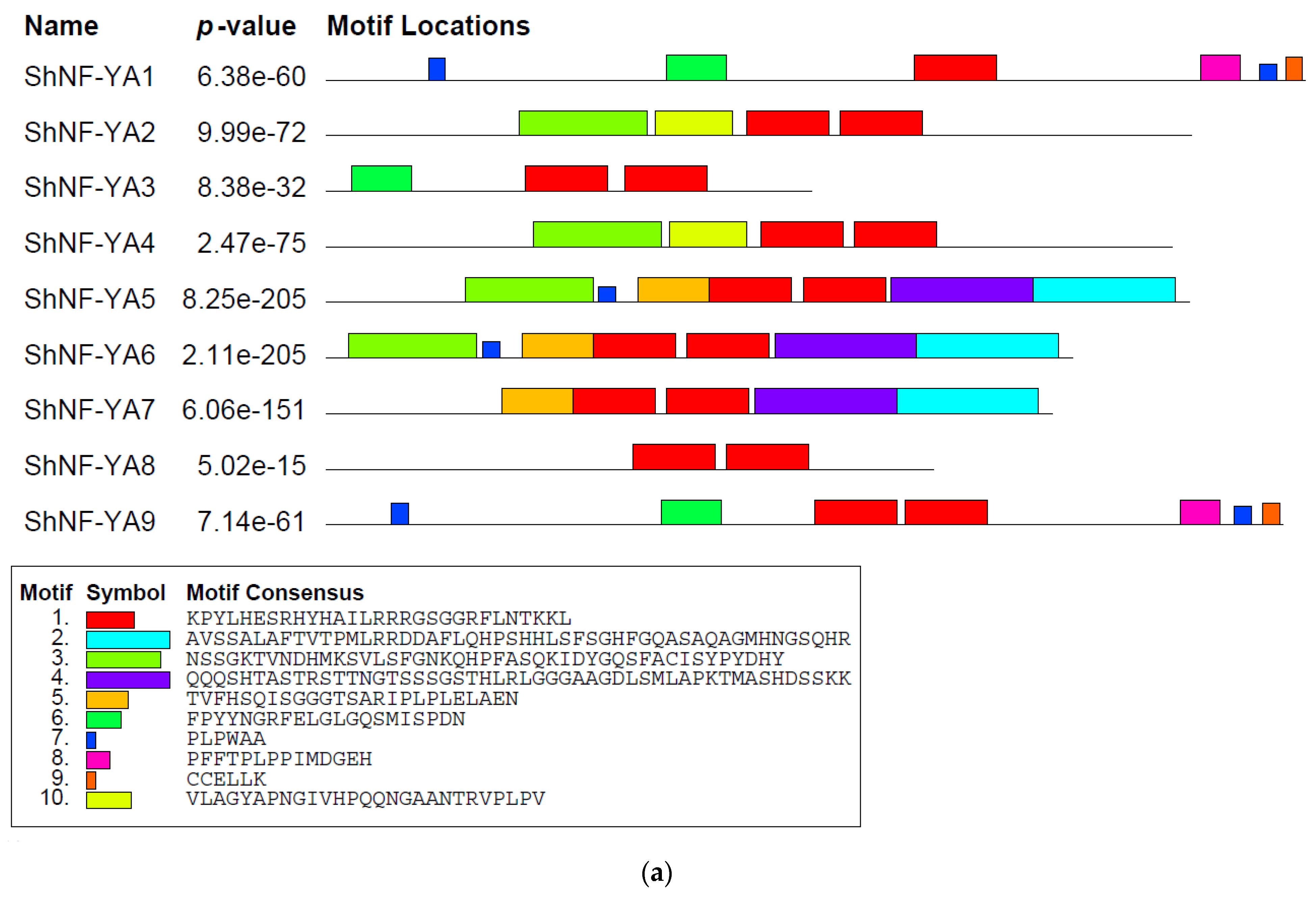Genes 14 01147 g005a Genes 14 01147 g005a