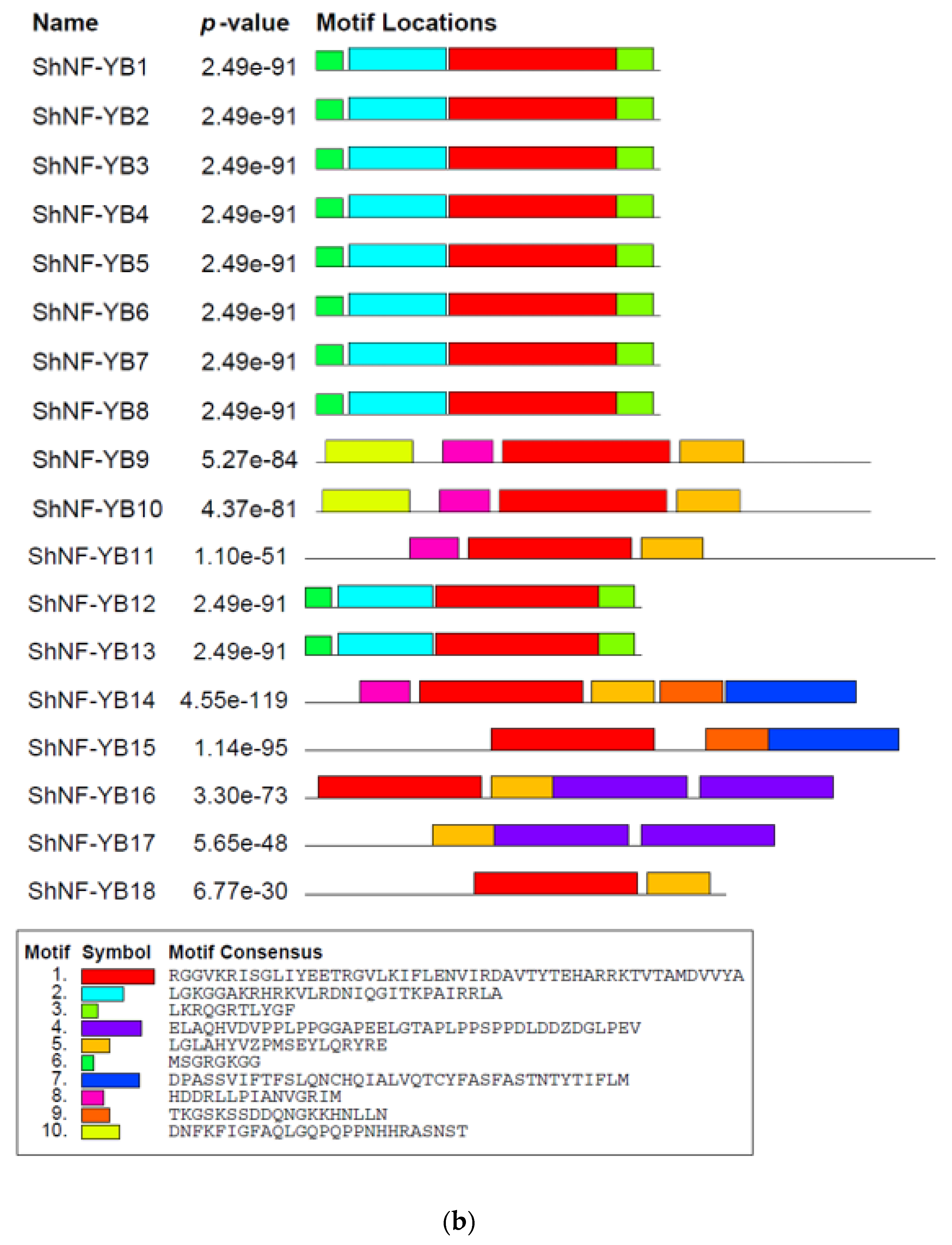 Genes 14 01147 g005b Genes 14 01147 g005b