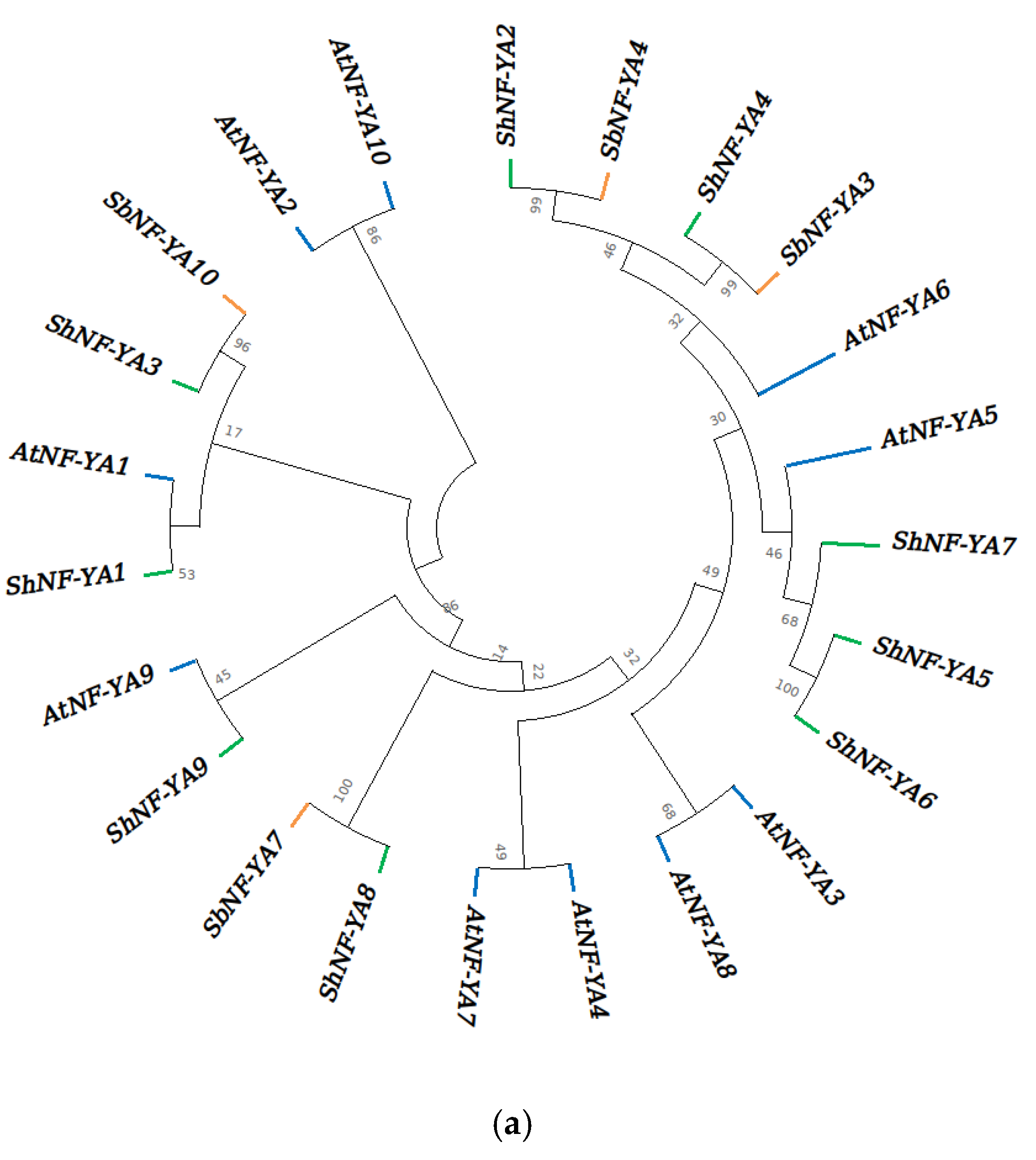 Genes 14 01147 g006a Genes 14 01147 g006a