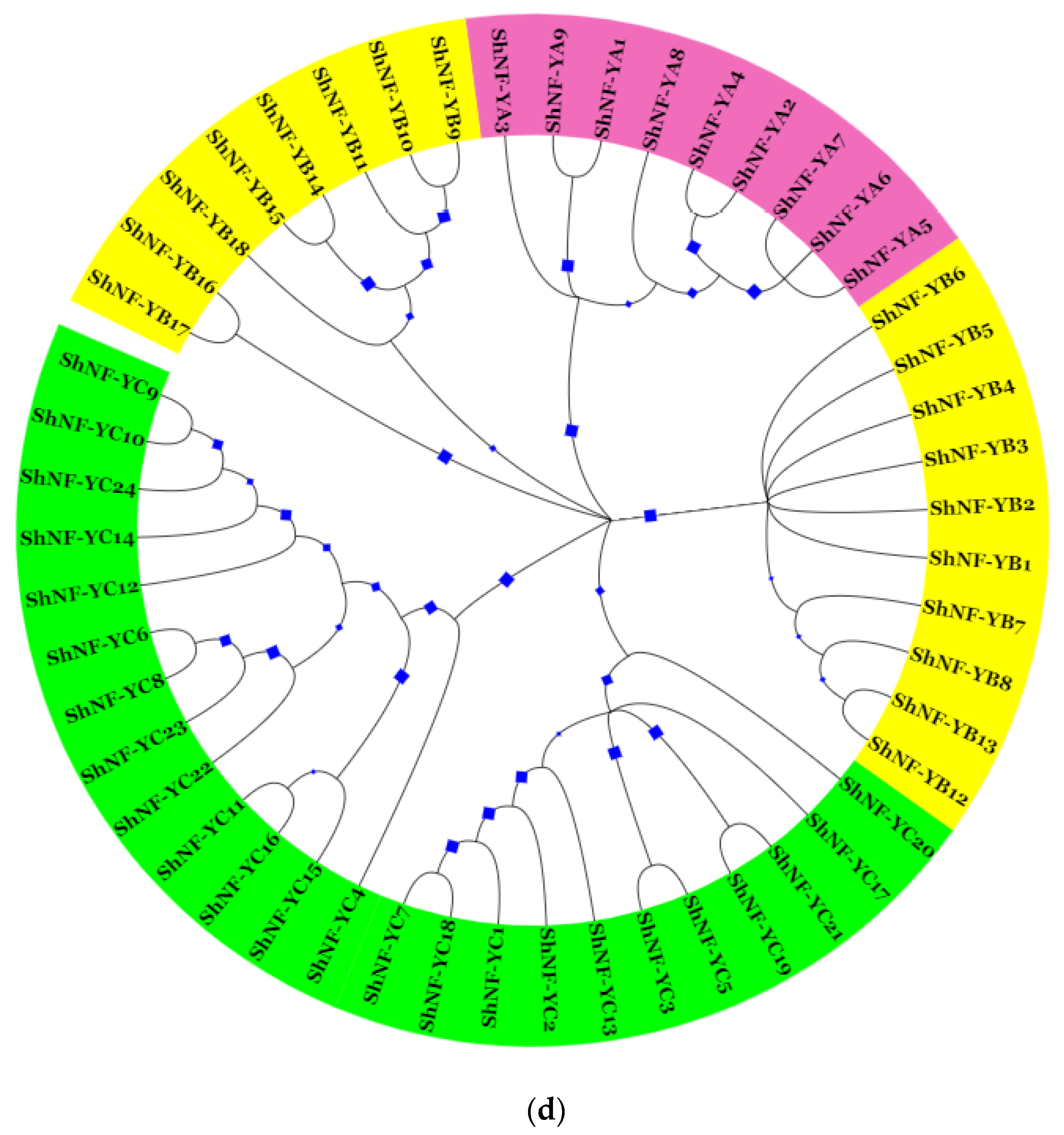 Genes 14 01147 g006c Genes 14 01147 g006c