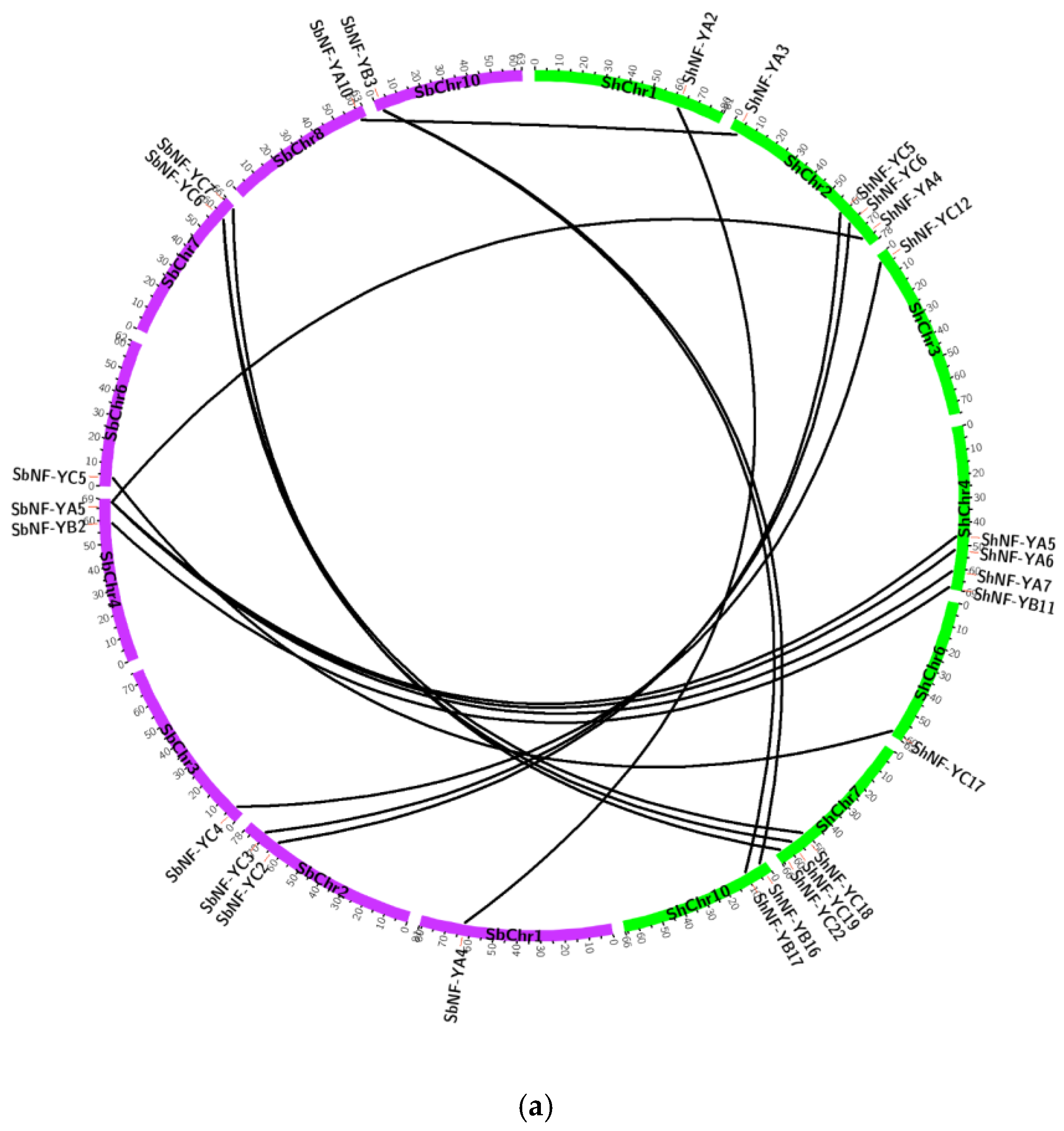 Genes 14 01147 g009a Genes 14 01147 g009a