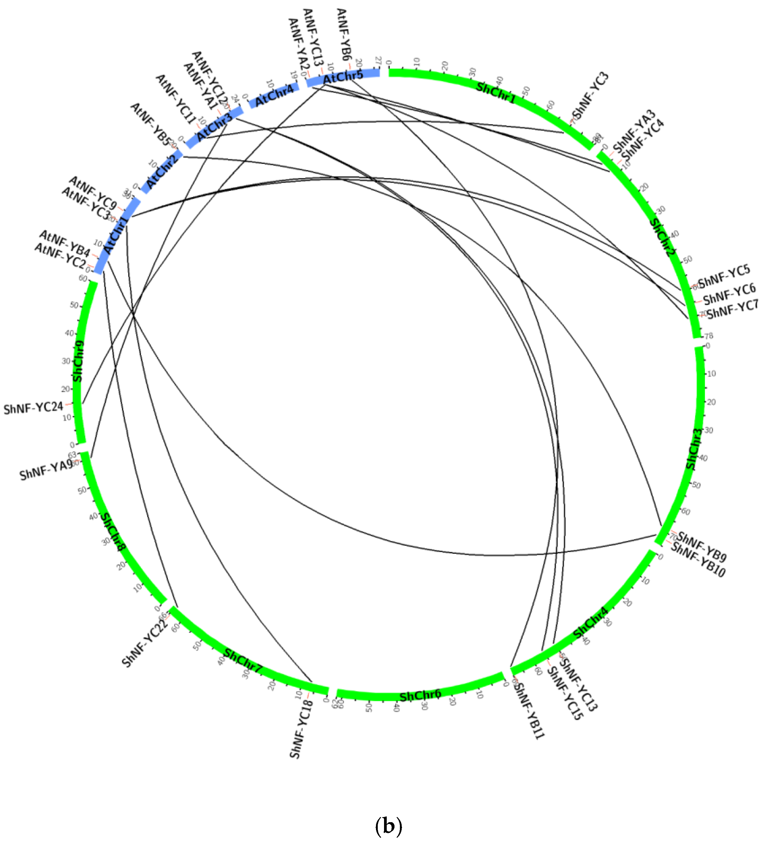 Genes 14 01147 g009b Genes 14 01147 g009b