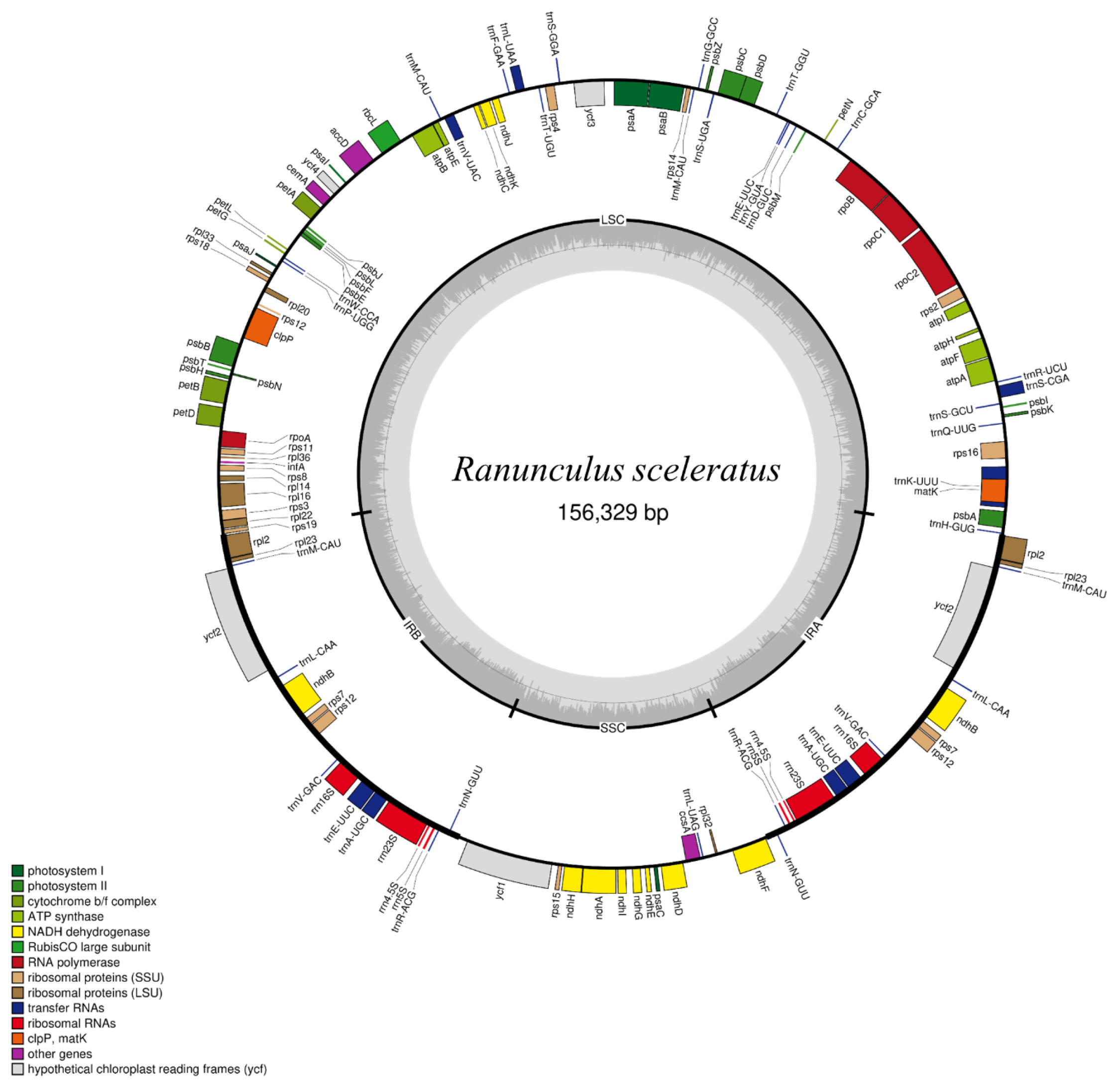 Genes 14 01149 g001 Genes 14 01149 g001
