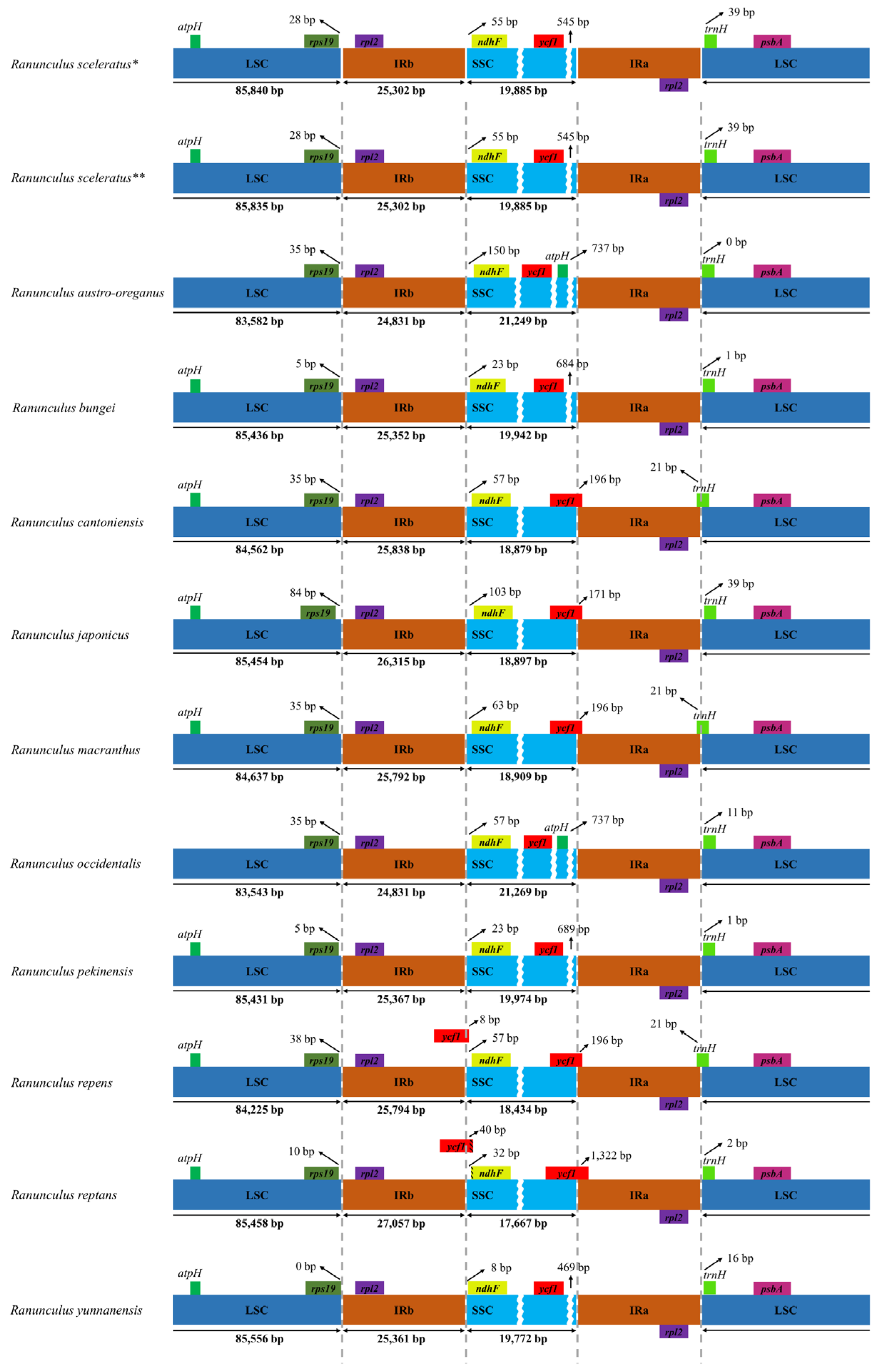 Genes 14 01149 g002 Genes 14 01149 g002