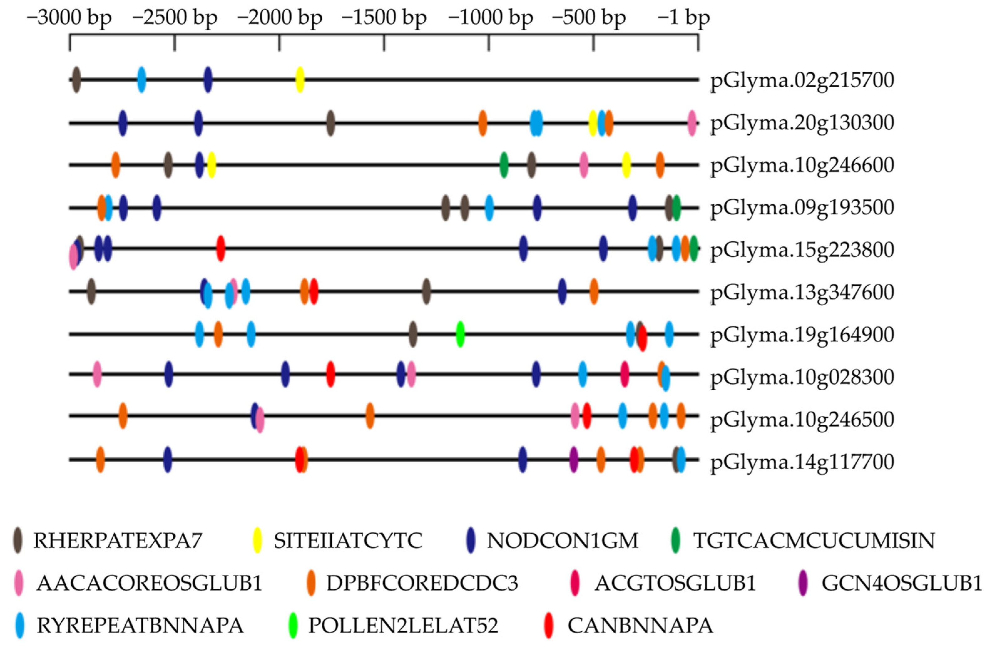 Genes 14 01150 g006 Genes 14 01150 g006