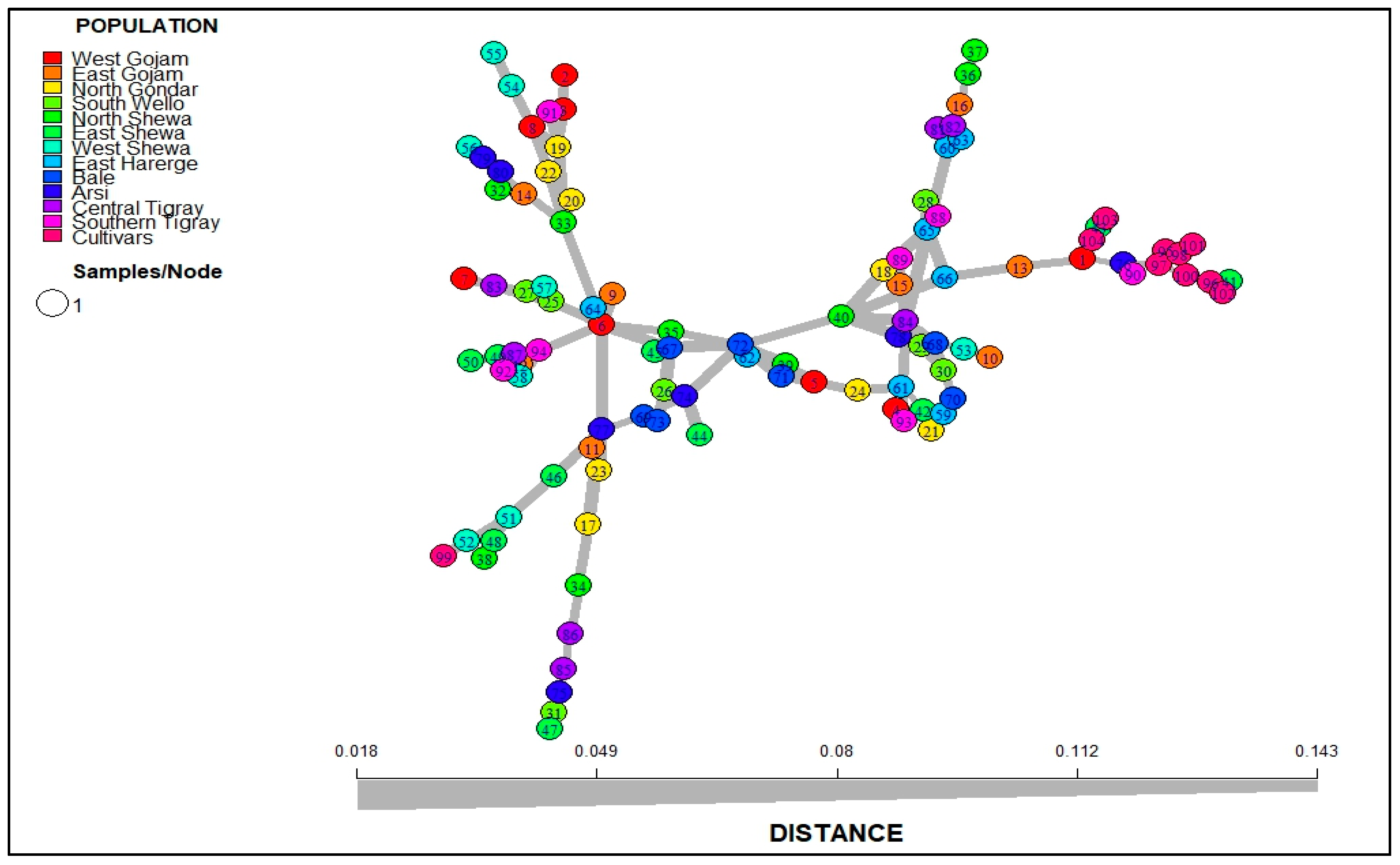 Genes 14 01155 g004 Genes 14 01155 g004
