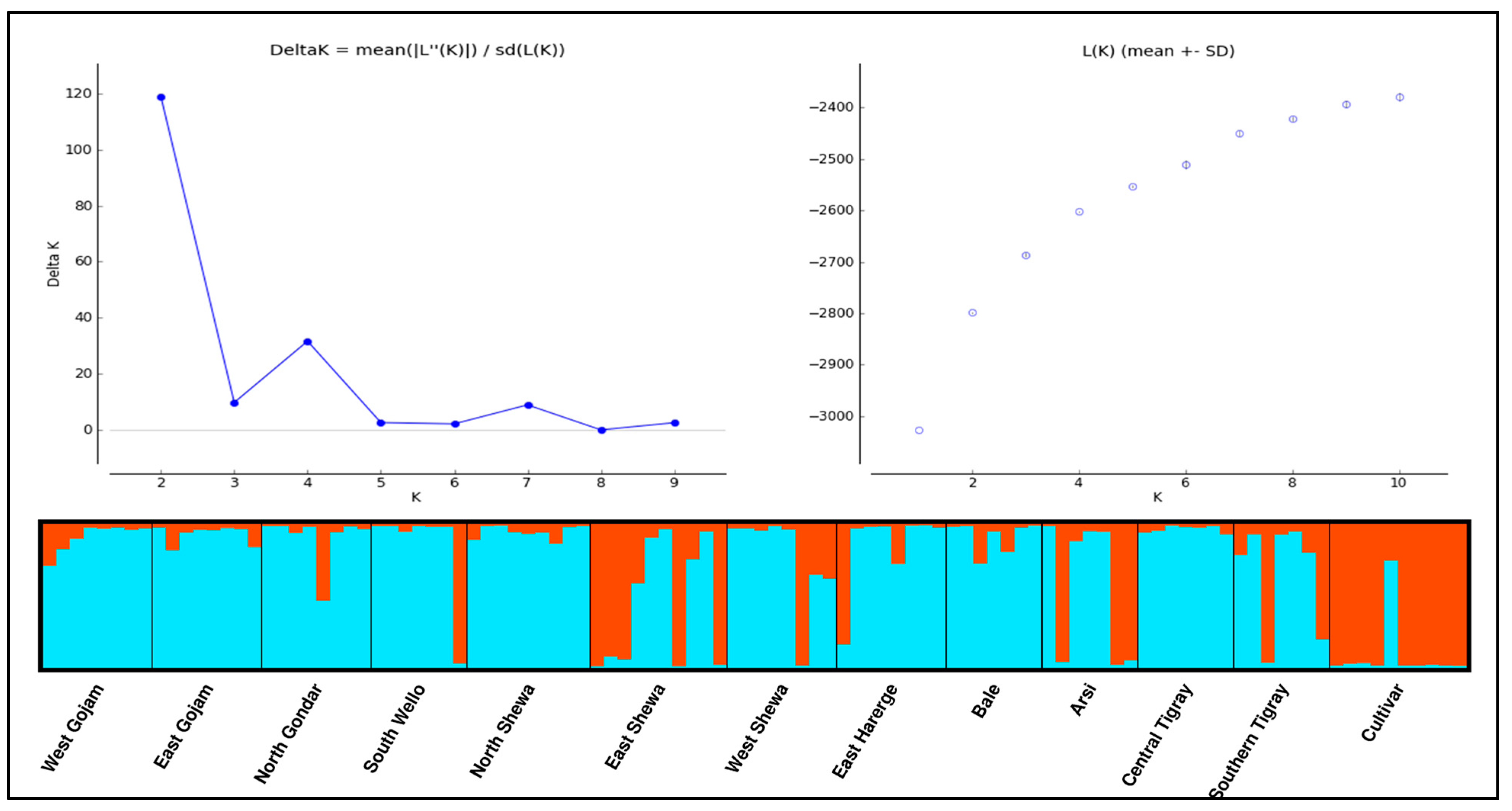 Genes 14 01155 g006 Genes 14 01155 g006