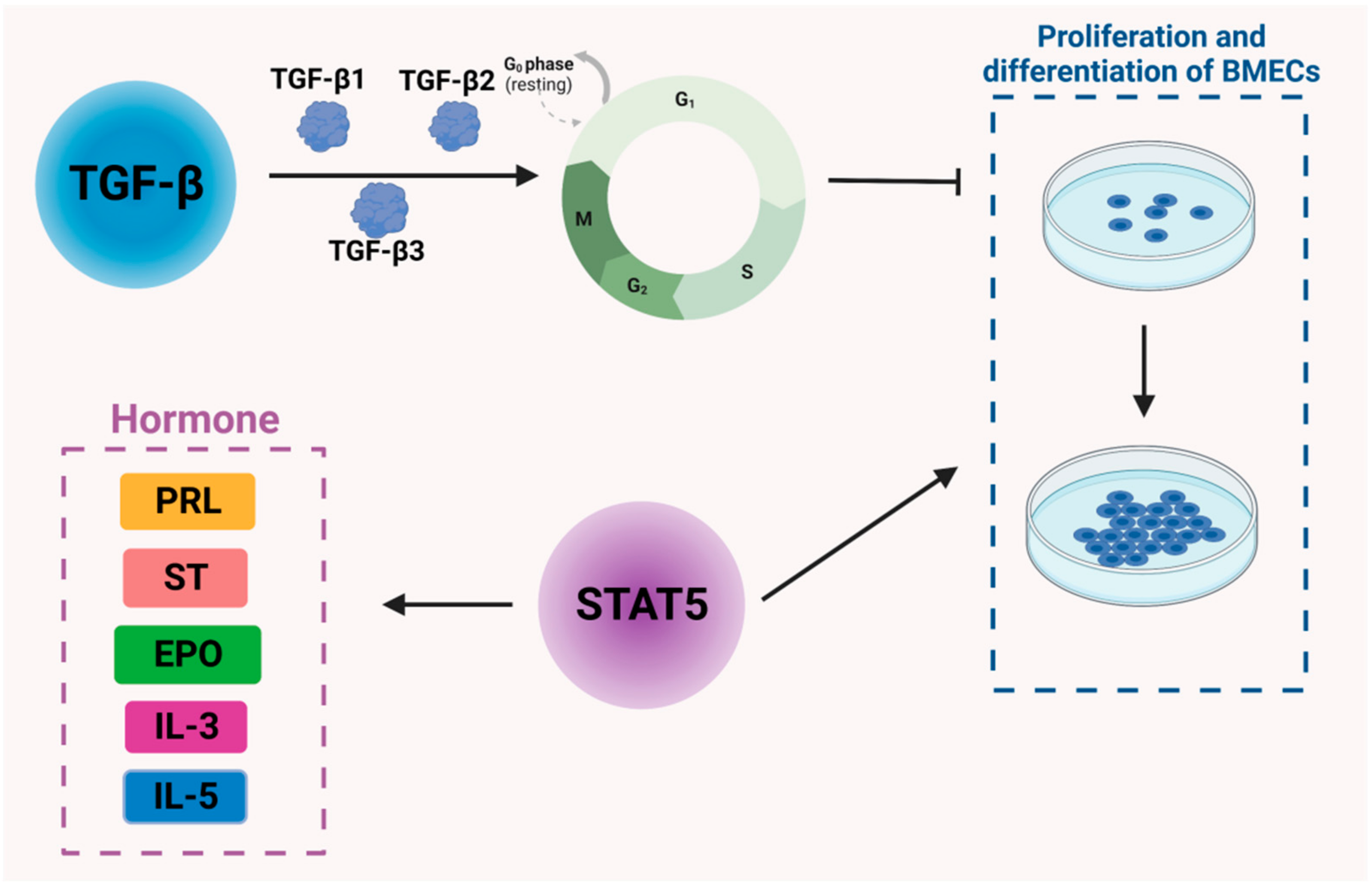 Genes 14 01163 g002 Genes 14 01163 g002