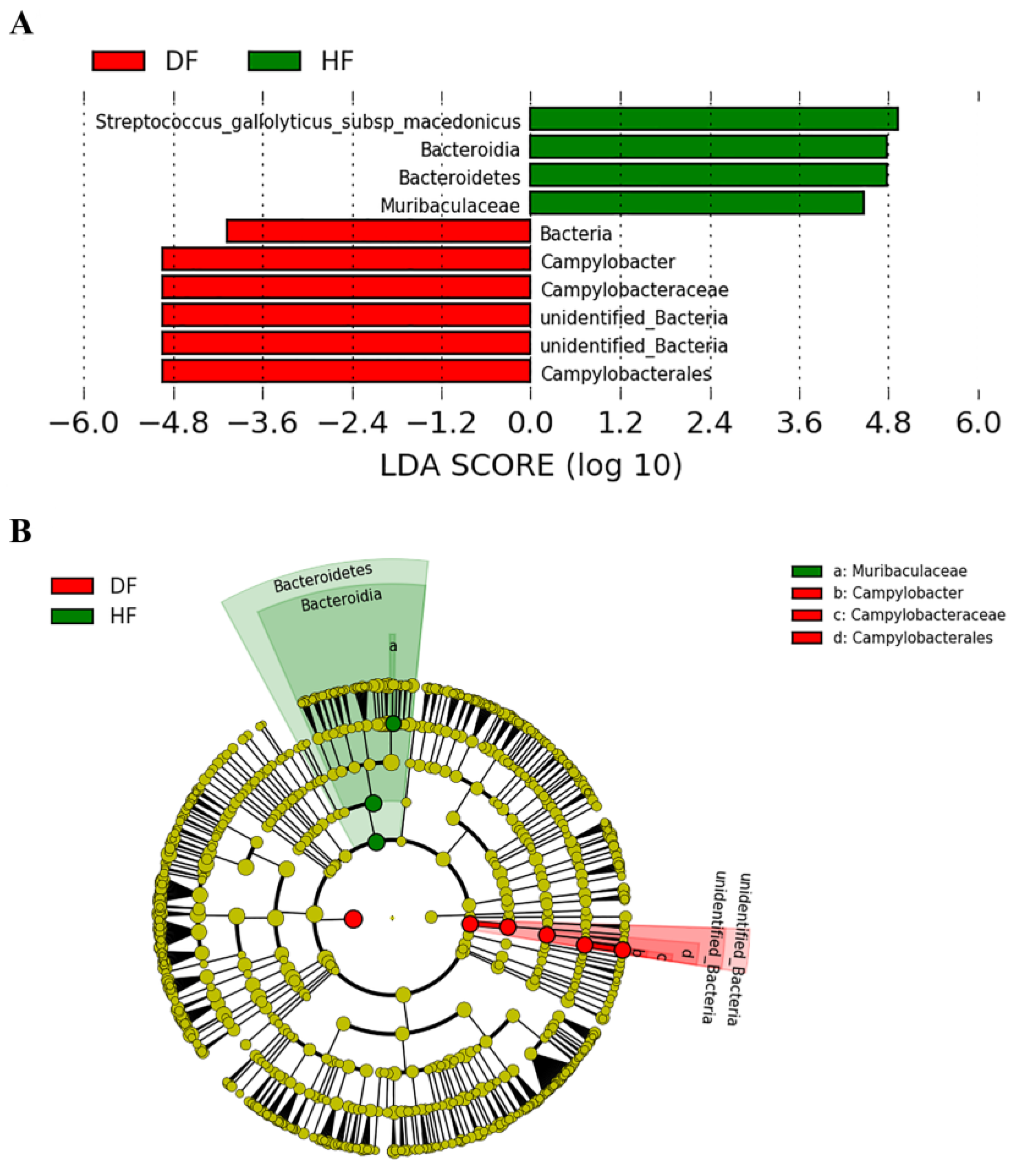 Genes 14 01166 g005 Genes 14 01166 g005