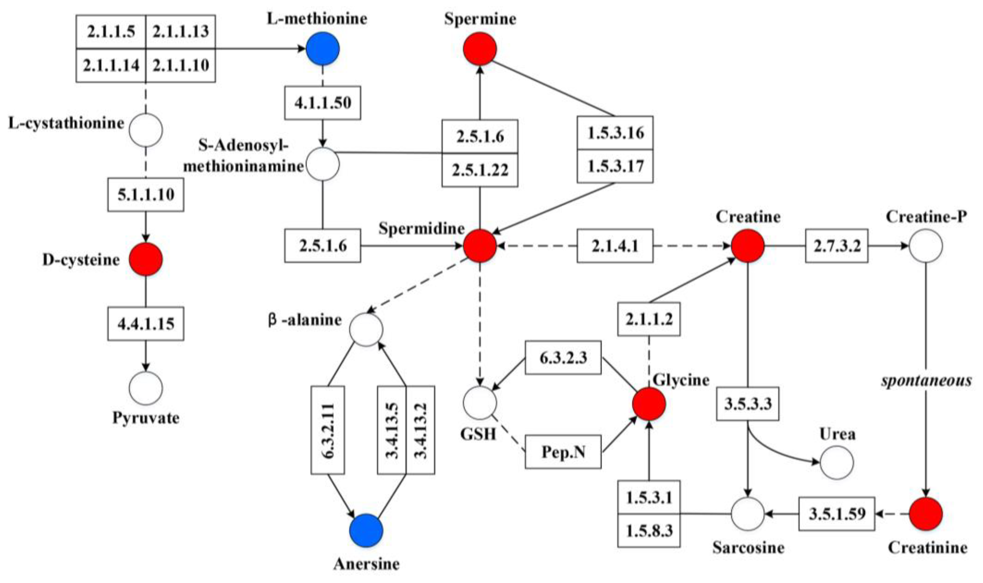 Genes 14 01166 g007 Genes 14 01166 g007