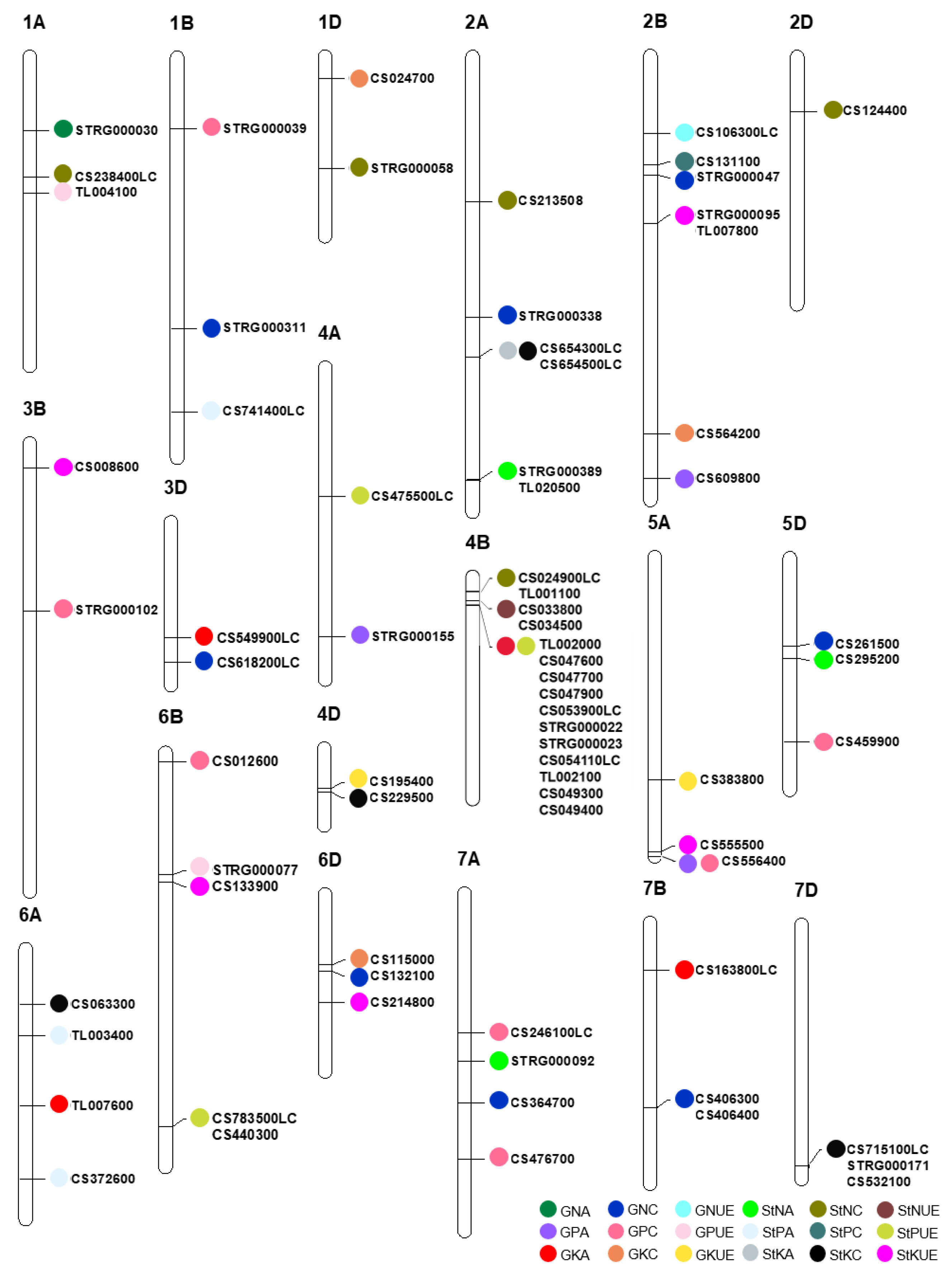Genes 14 01168 g001 Genes 14 01168 g001