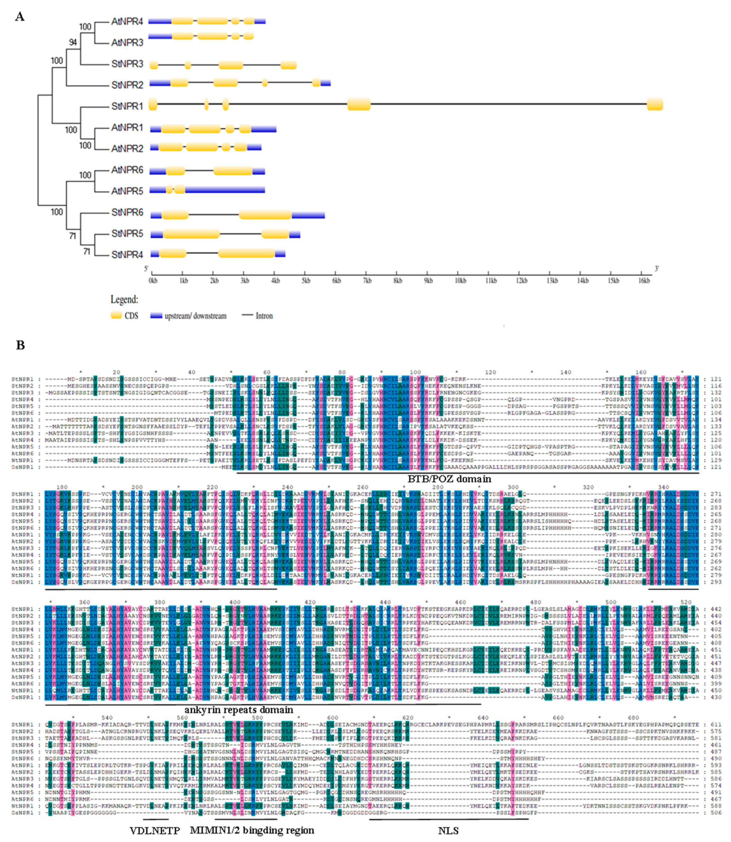 Genes 14 01170 g002 Genes 14 01170 g002