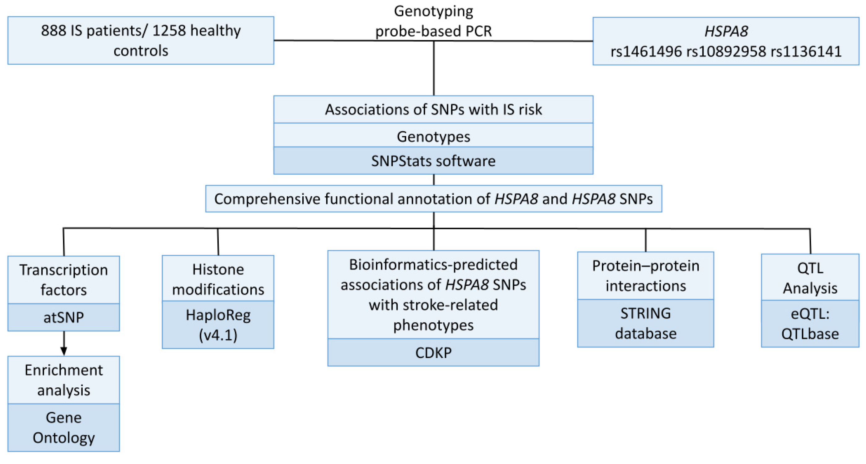 Genes 14 01171 g001 Genes 14 01171 g001
