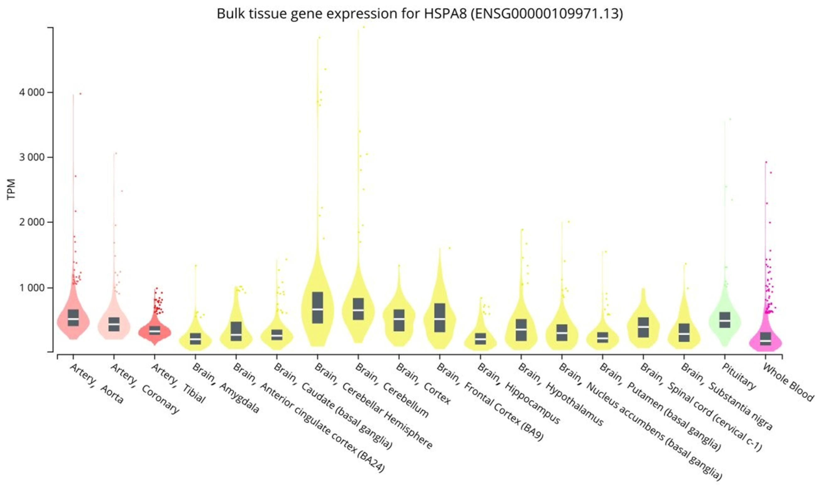 Genes 14 01171 g002 Genes 14 01171 g002