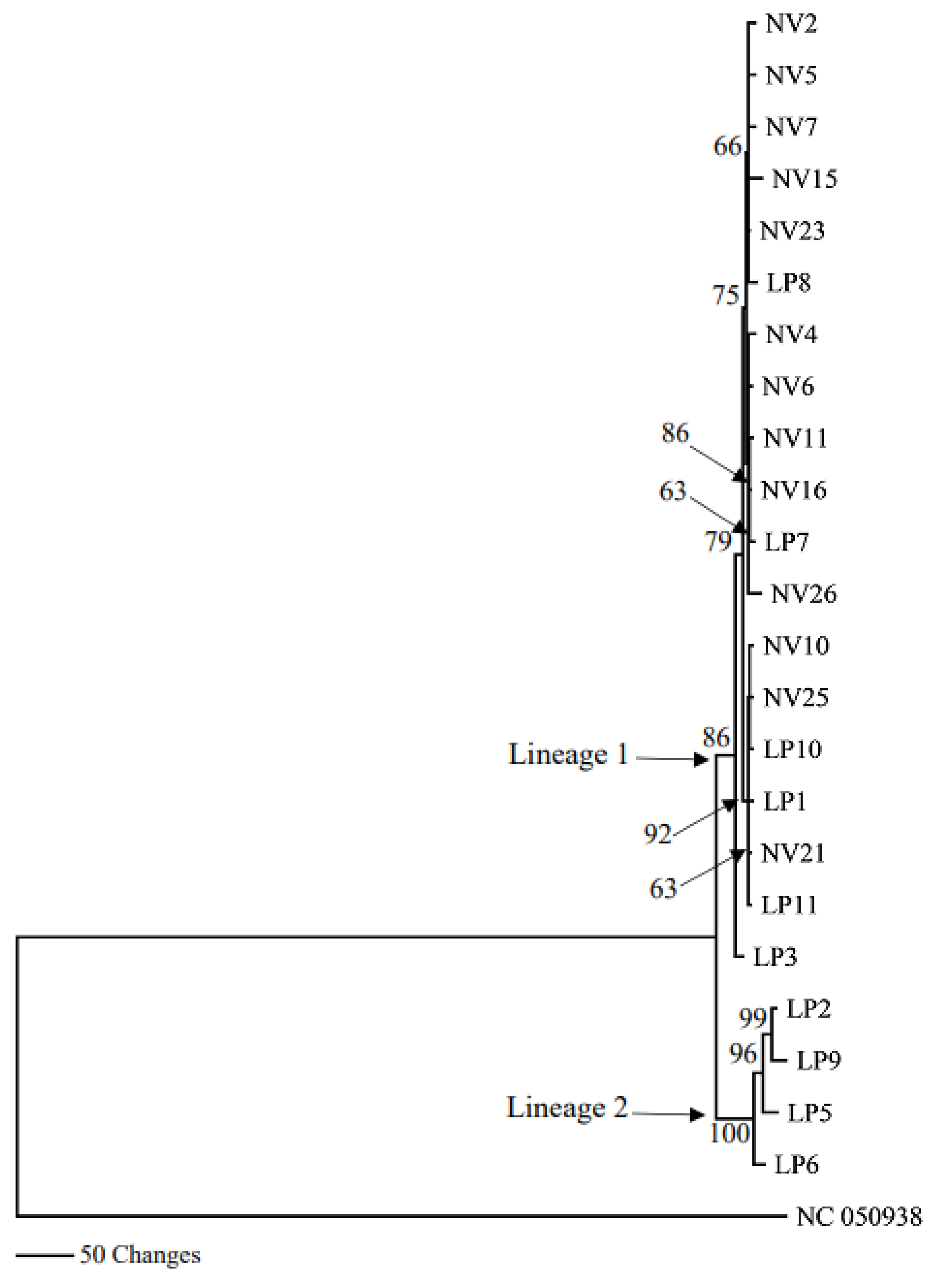Genes 14 01172 g004 Genes 14 01172 g004