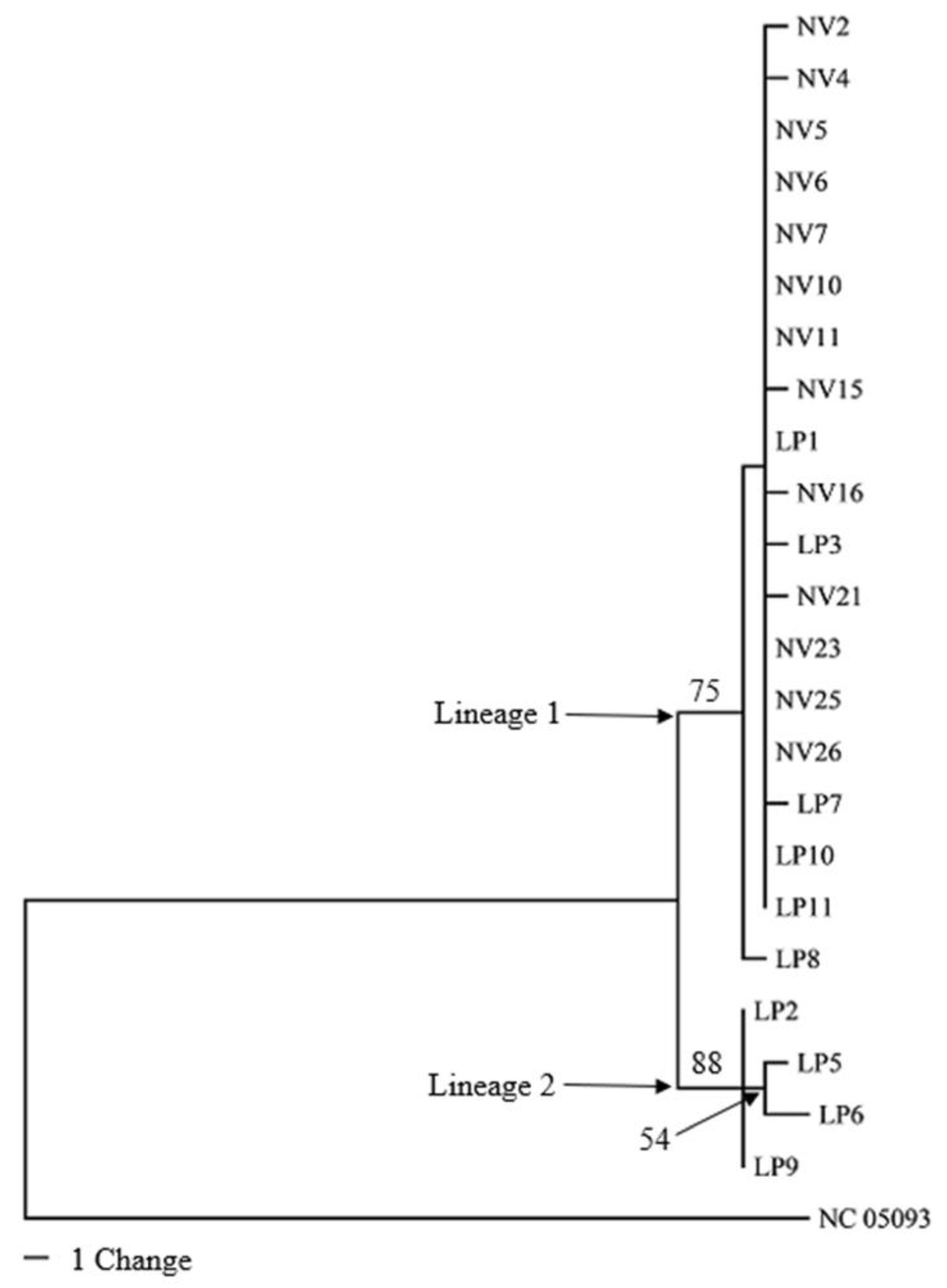 Genes 14 01172 g005 Genes 14 01172 g005