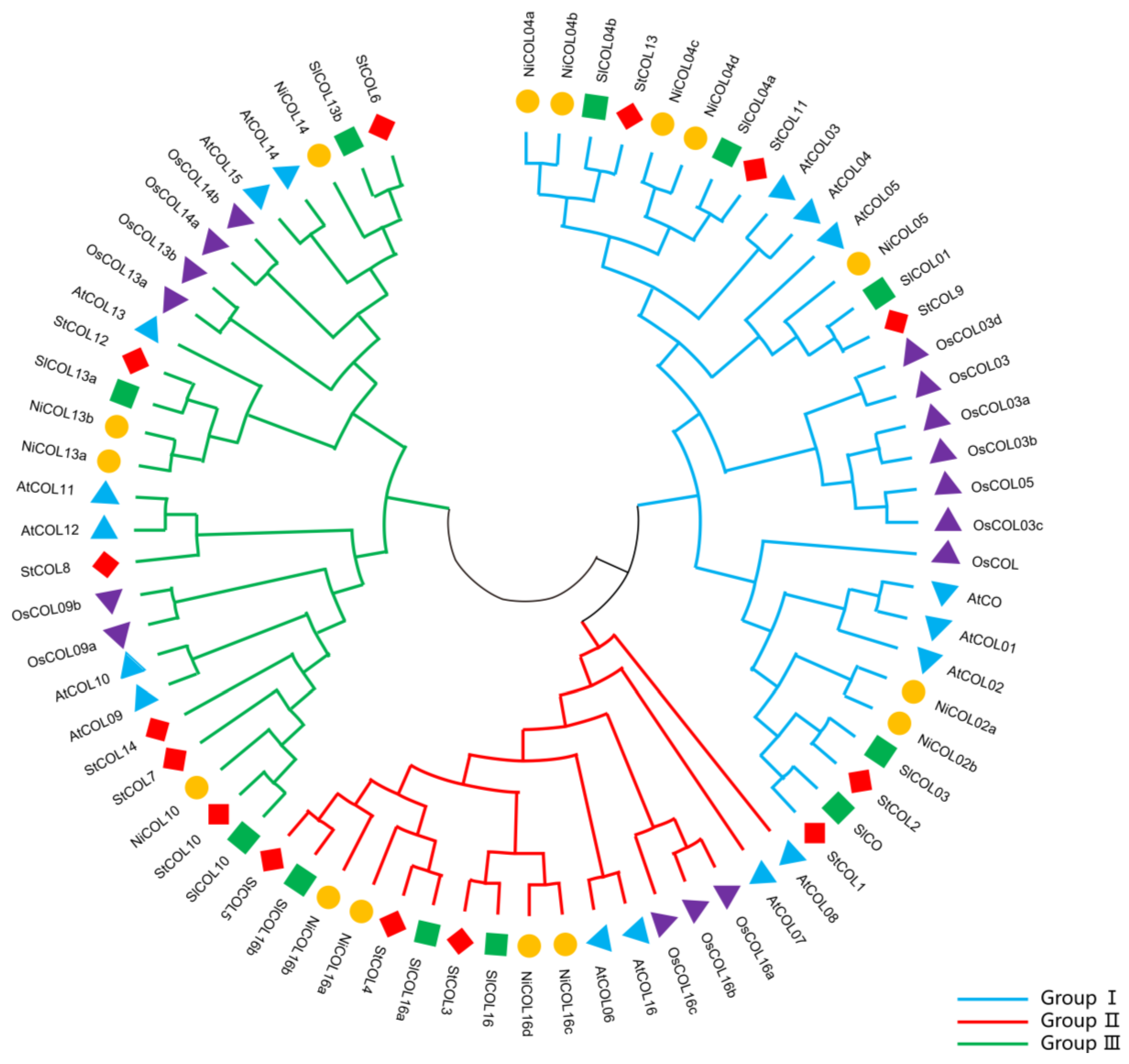 Genes 14 01174 g001 Genes 14 01174 g001