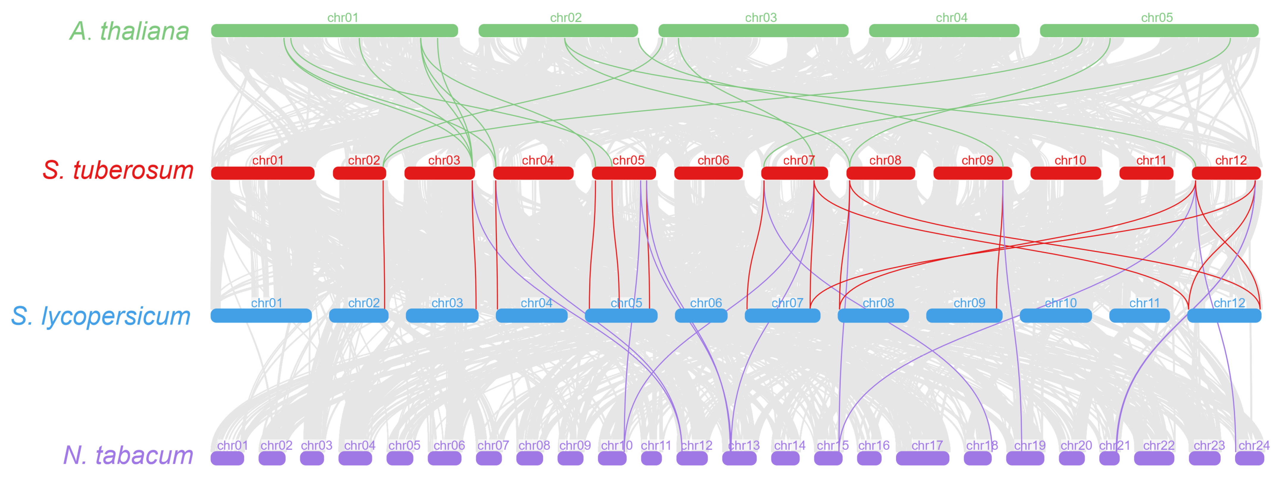 Genes 14 01174 g004 Genes 14 01174 g004
