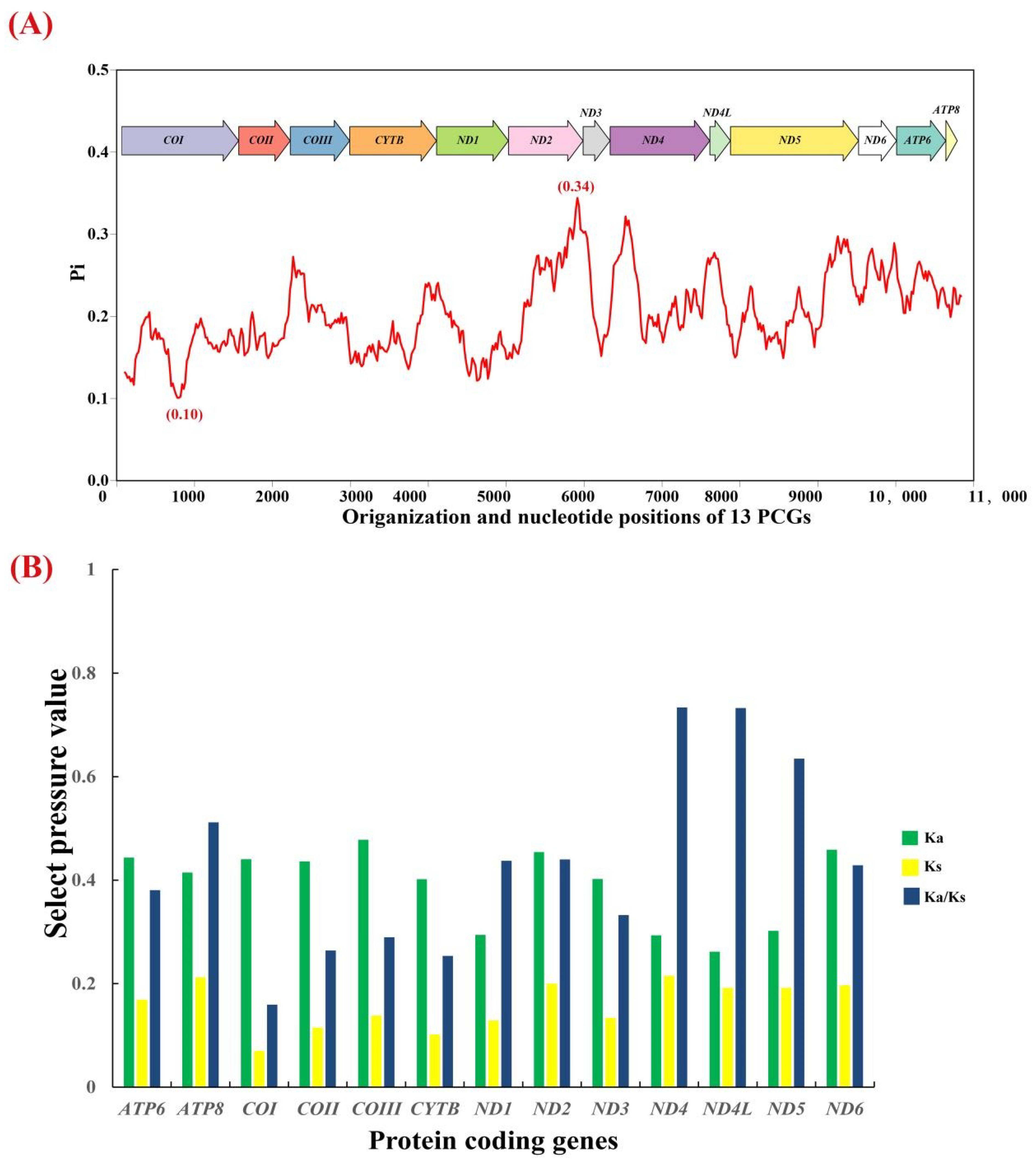 Genes 14 01175 g003 Genes 14 01175 g003