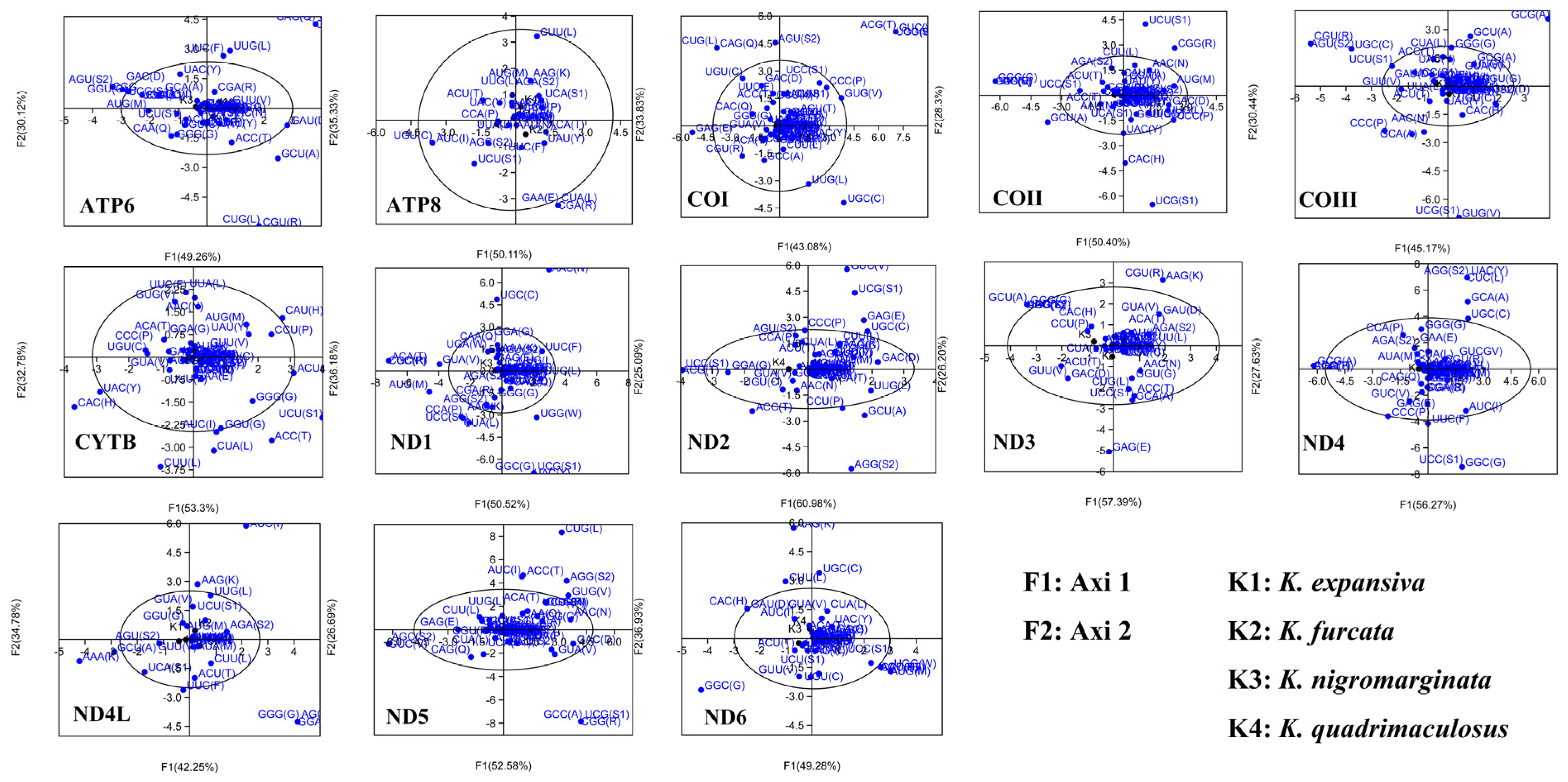 Genes 14 01175 g006 Genes 14 01175 g006