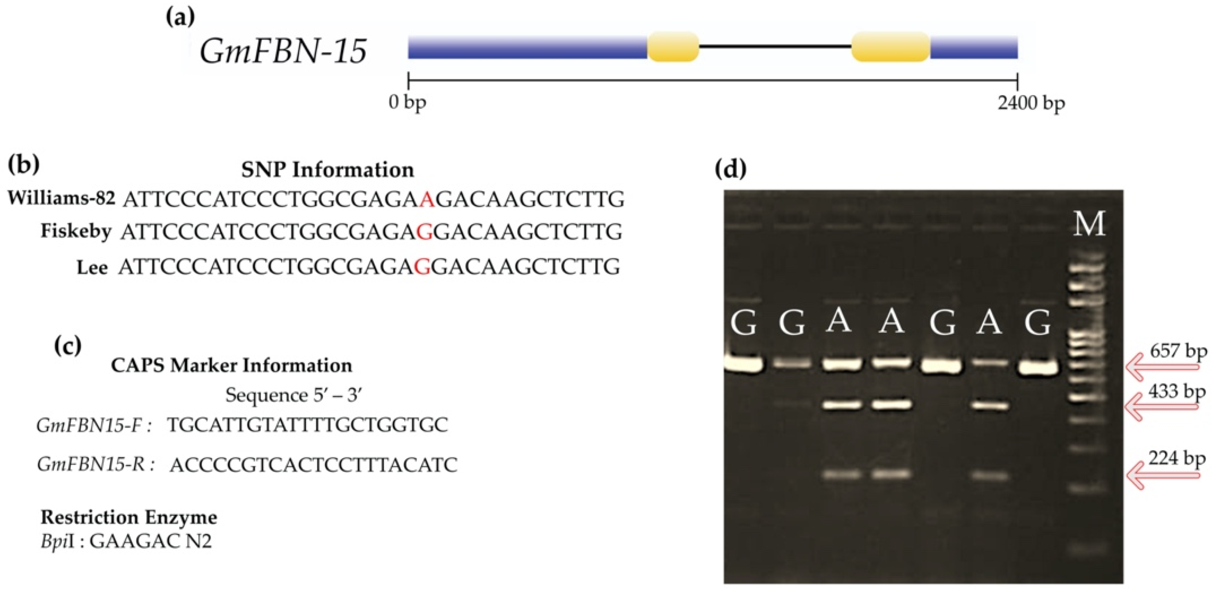 Genes 14 01188 g010