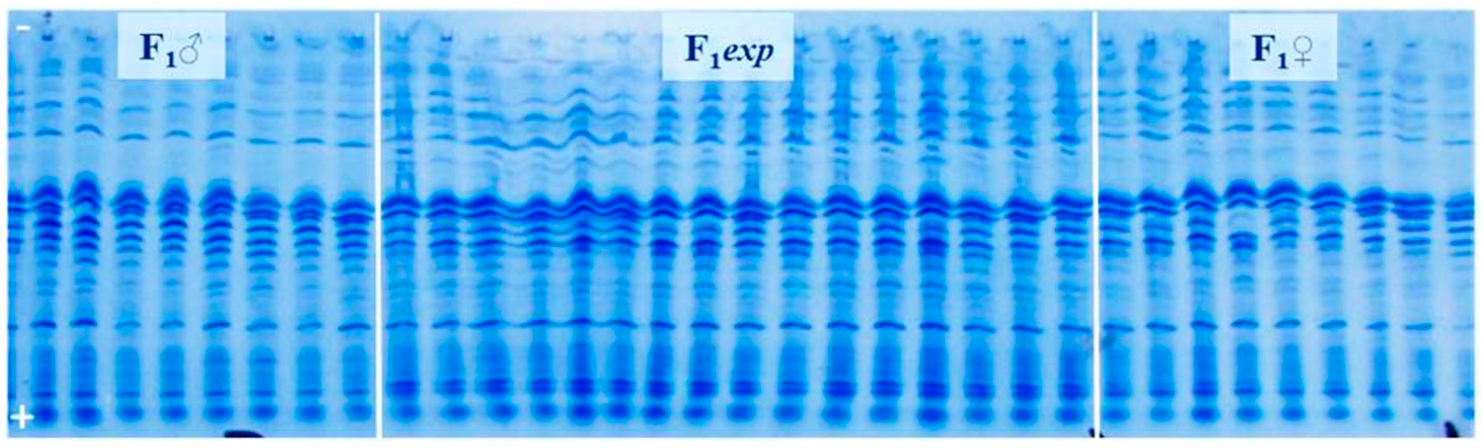 Genes 14 01195 g002 Genes 14 01195 g002