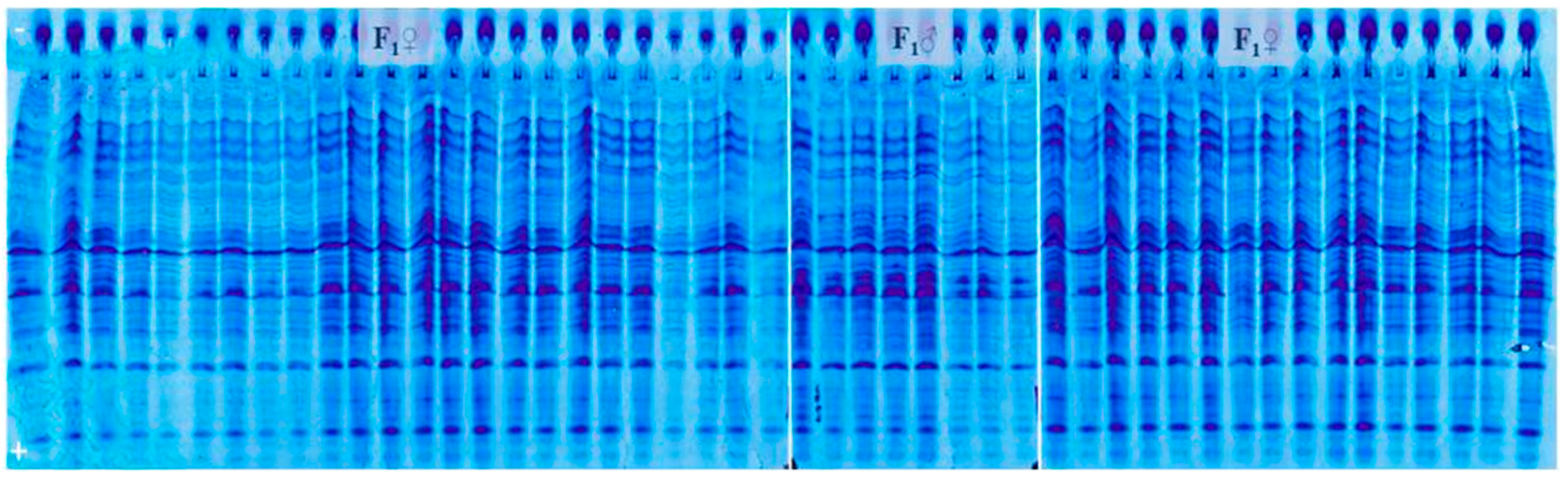 Genes 14 01195 g003 Genes 14 01195 g003