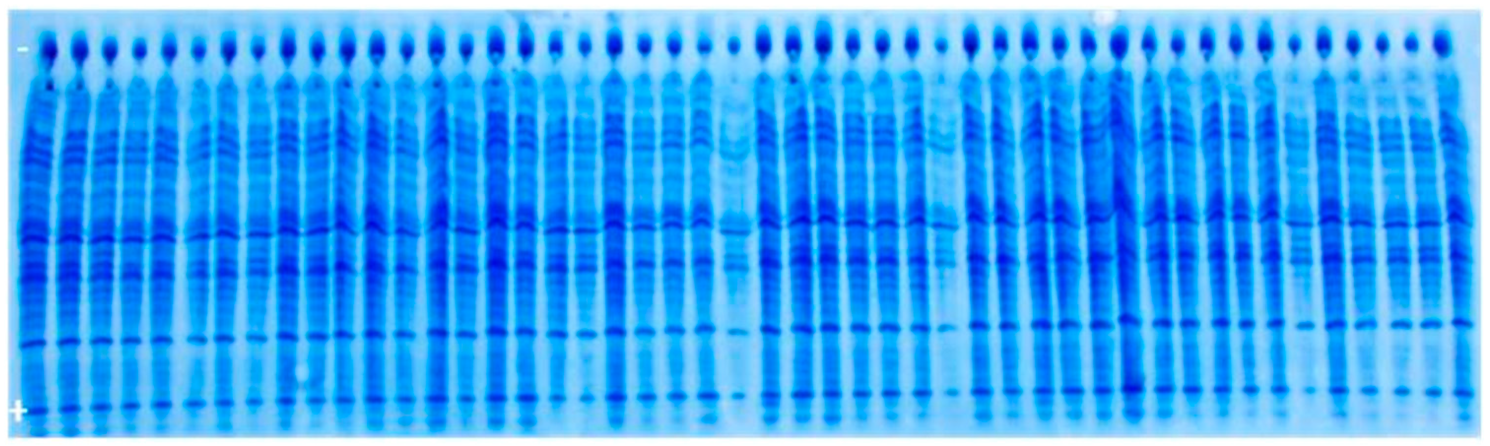 Genes 14 01195 g004 Genes 14 01195 g004