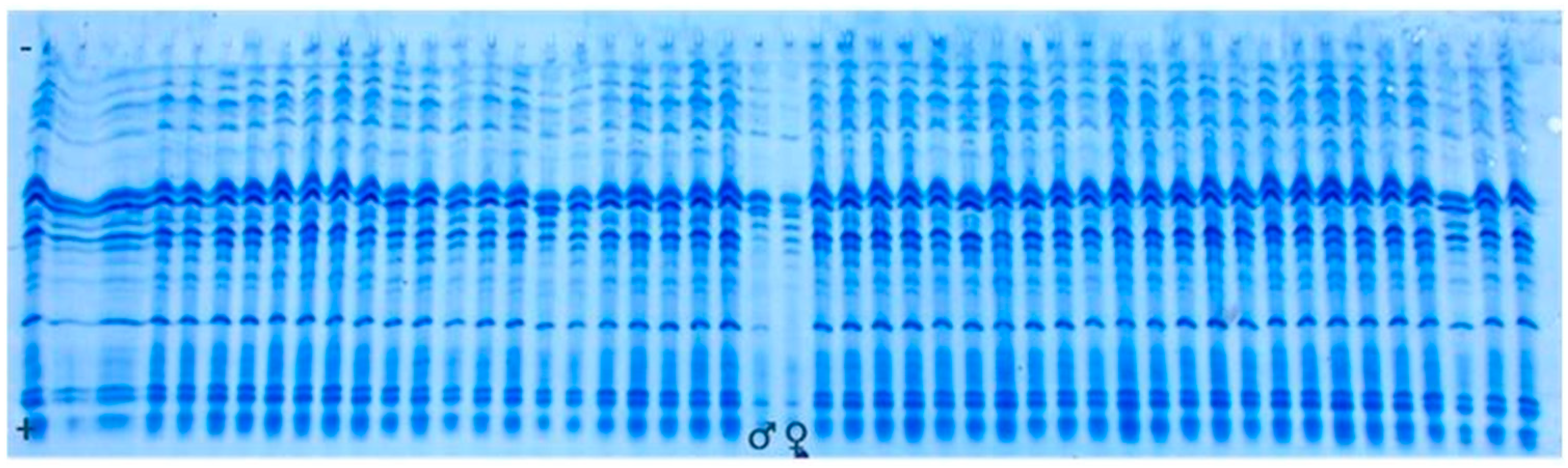 Genes 14 01195 g005 Genes 14 01195 g005
