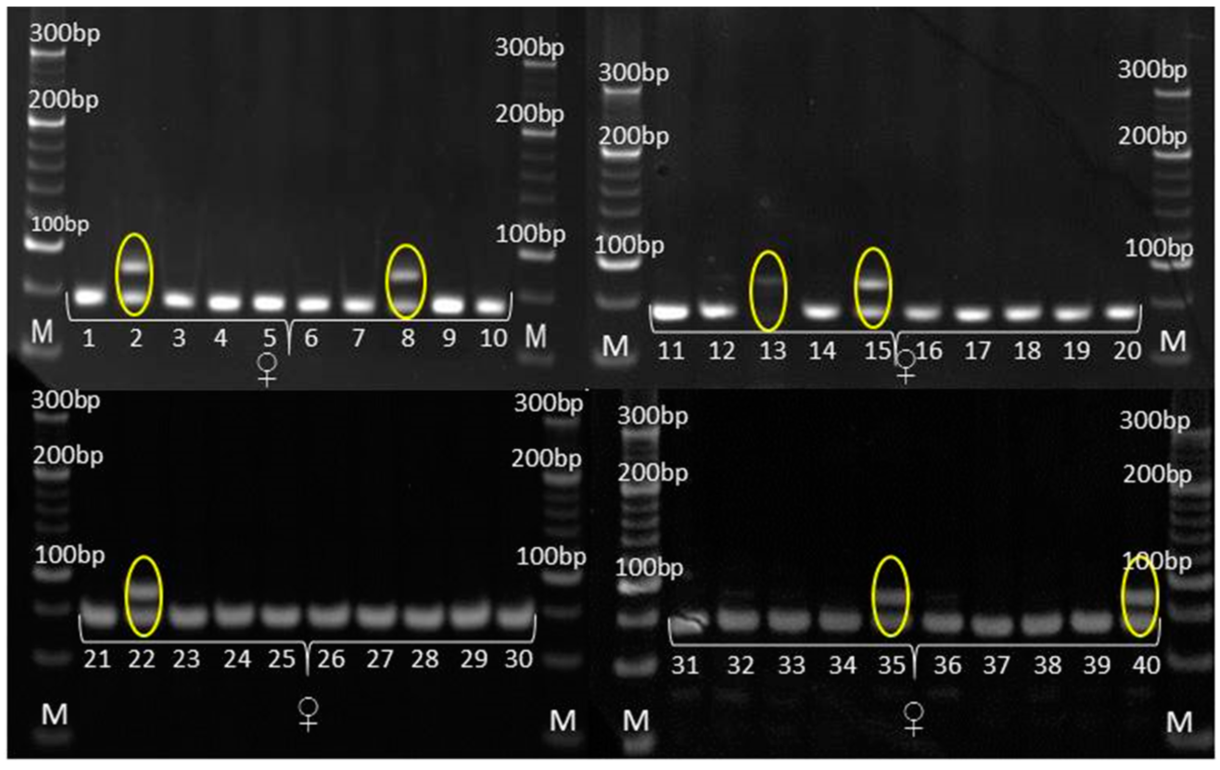 Genes 14 01195 g006 Genes 14 01195 g006