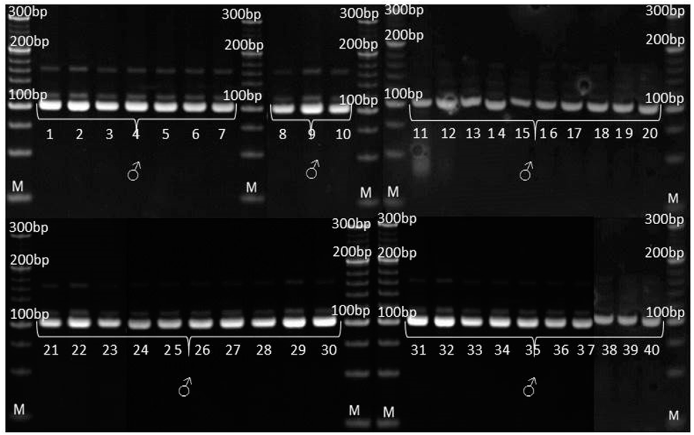 Genes 14 01195 g009 Genes 14 01195 g009