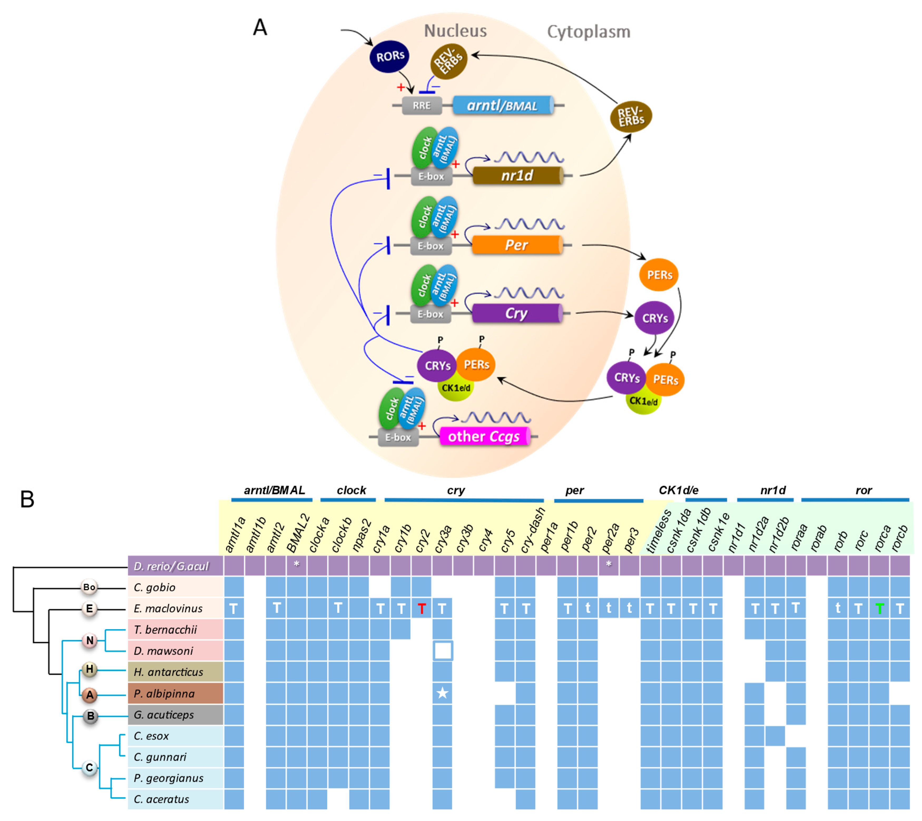 Genes 14 01196 g003 Genes 14 01196 g003