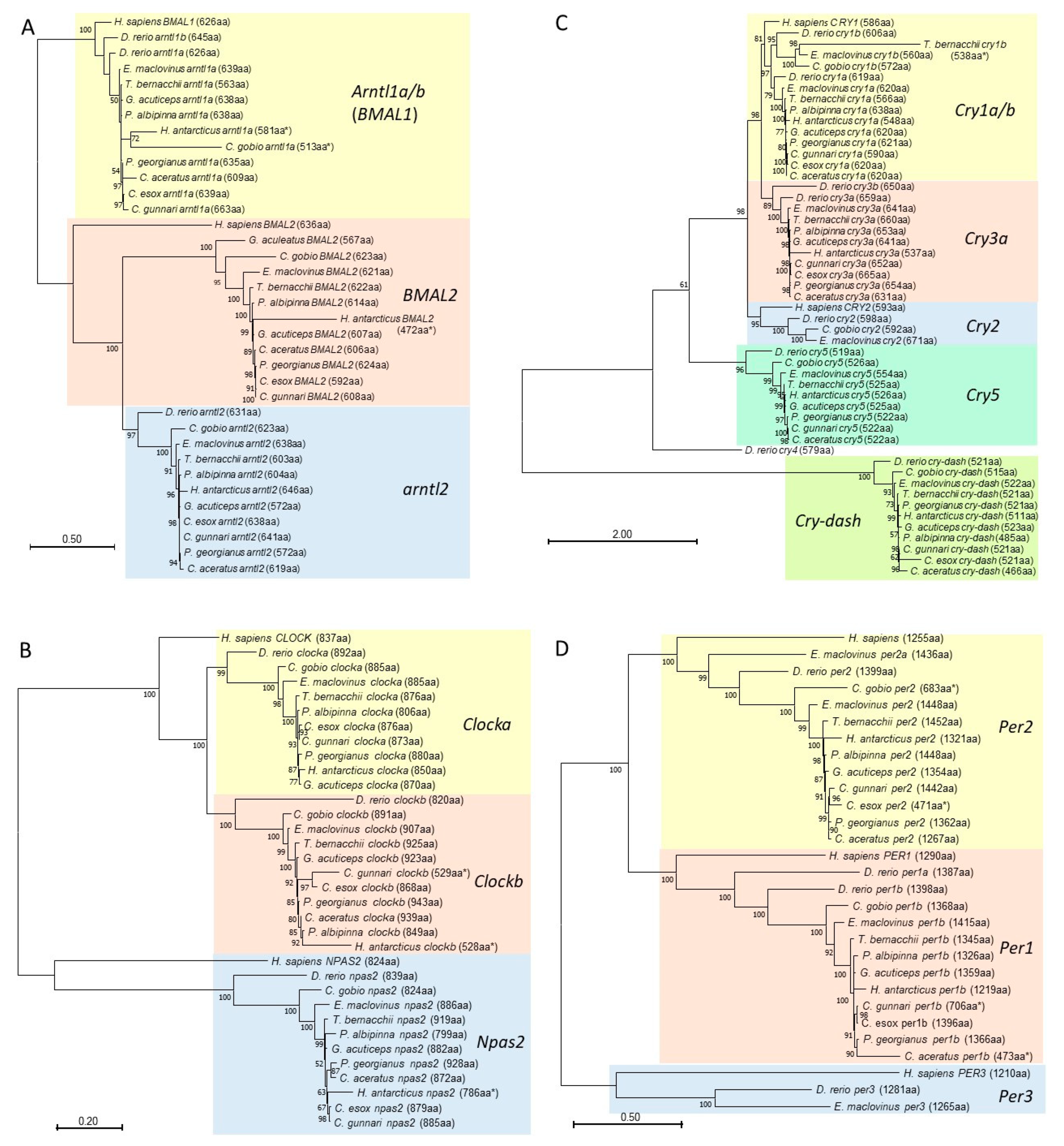 Genes 14 01196 g004 Genes 14 01196 g004