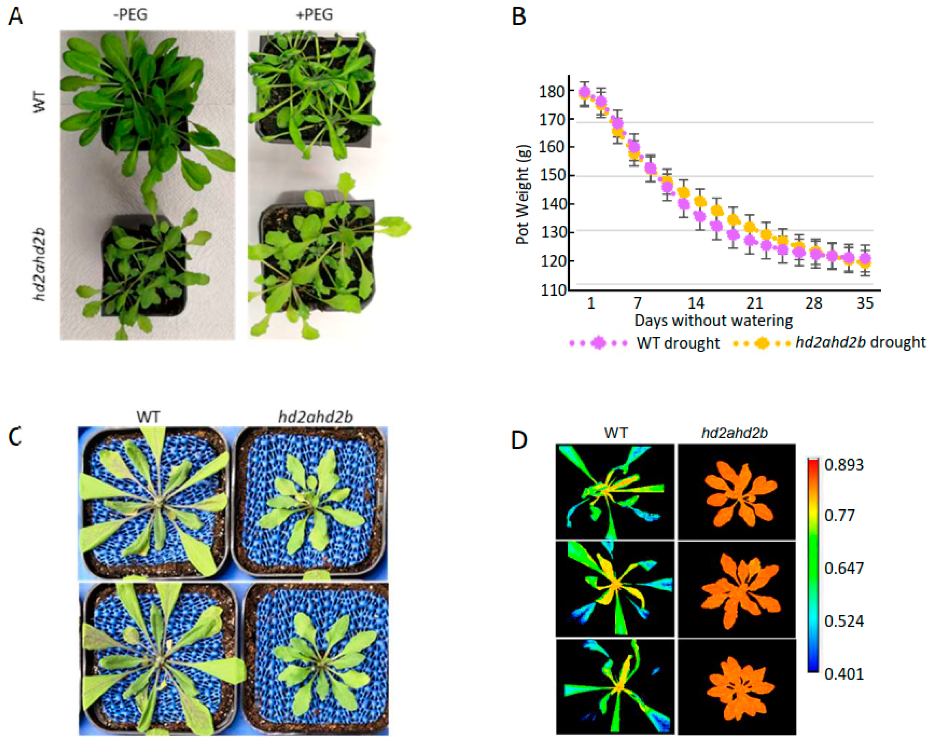 Genes 14 01199 g007a