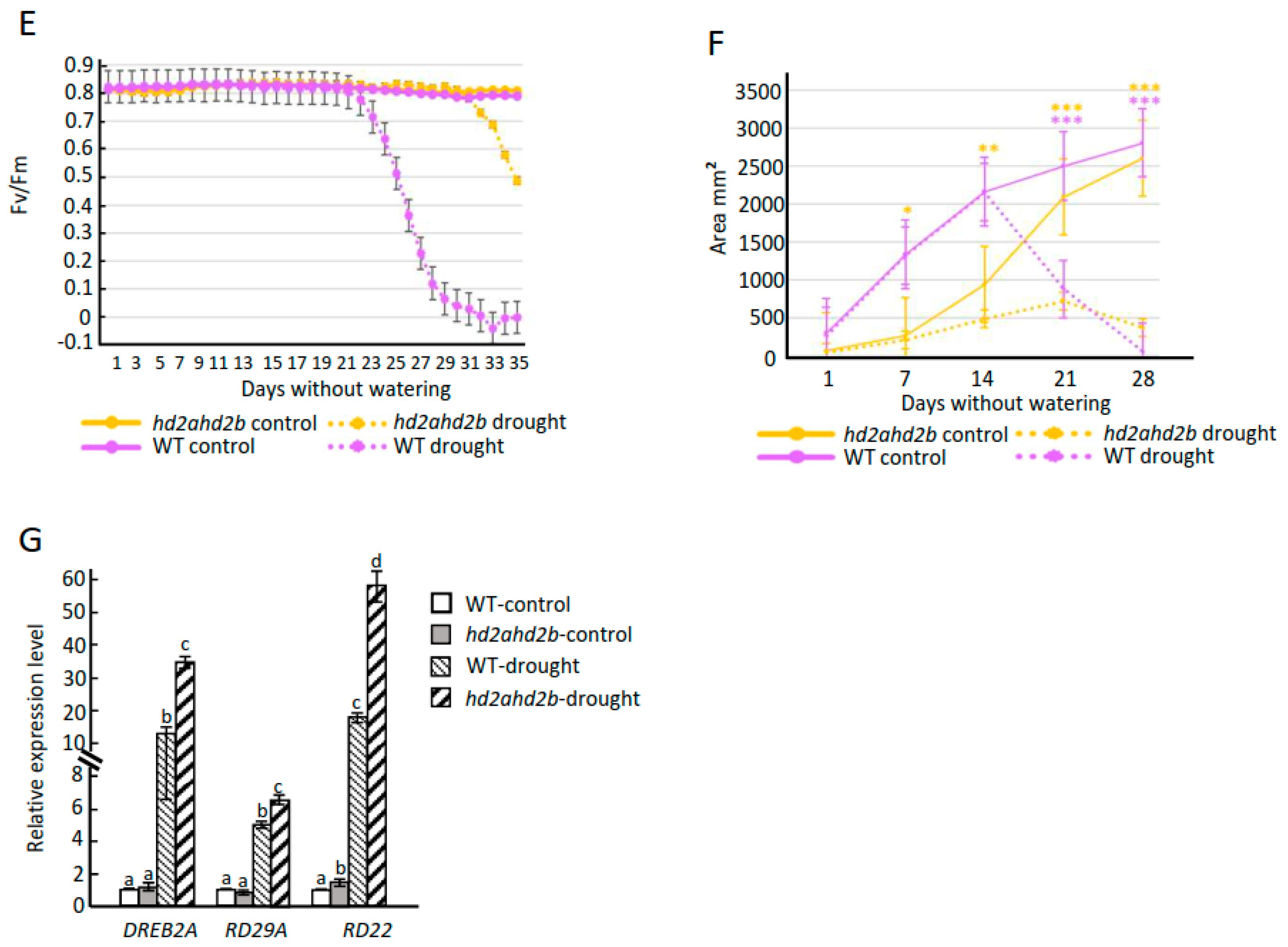 Genes 14 01199 g007b